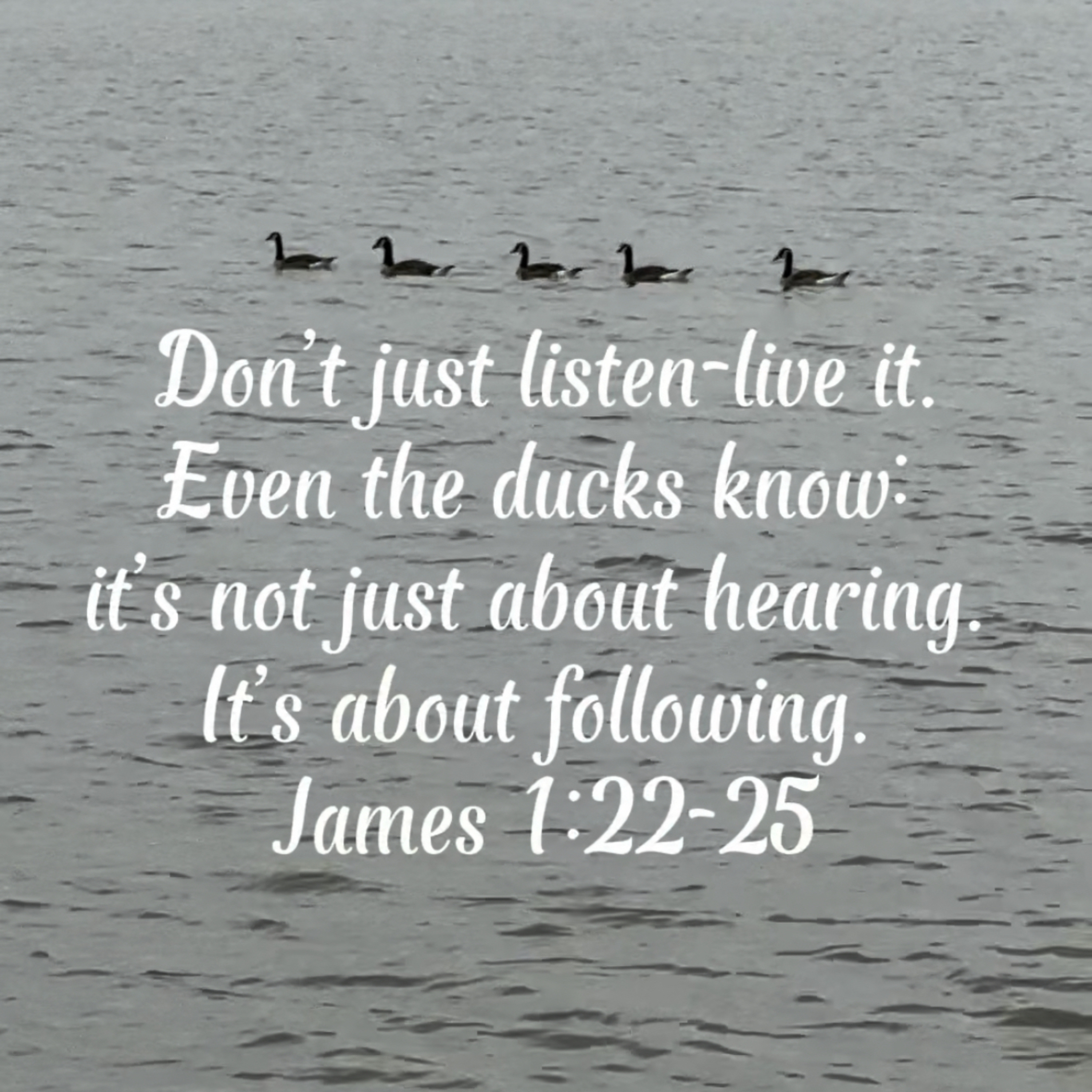 #210 Don’t just hear it. Live it episode artwork