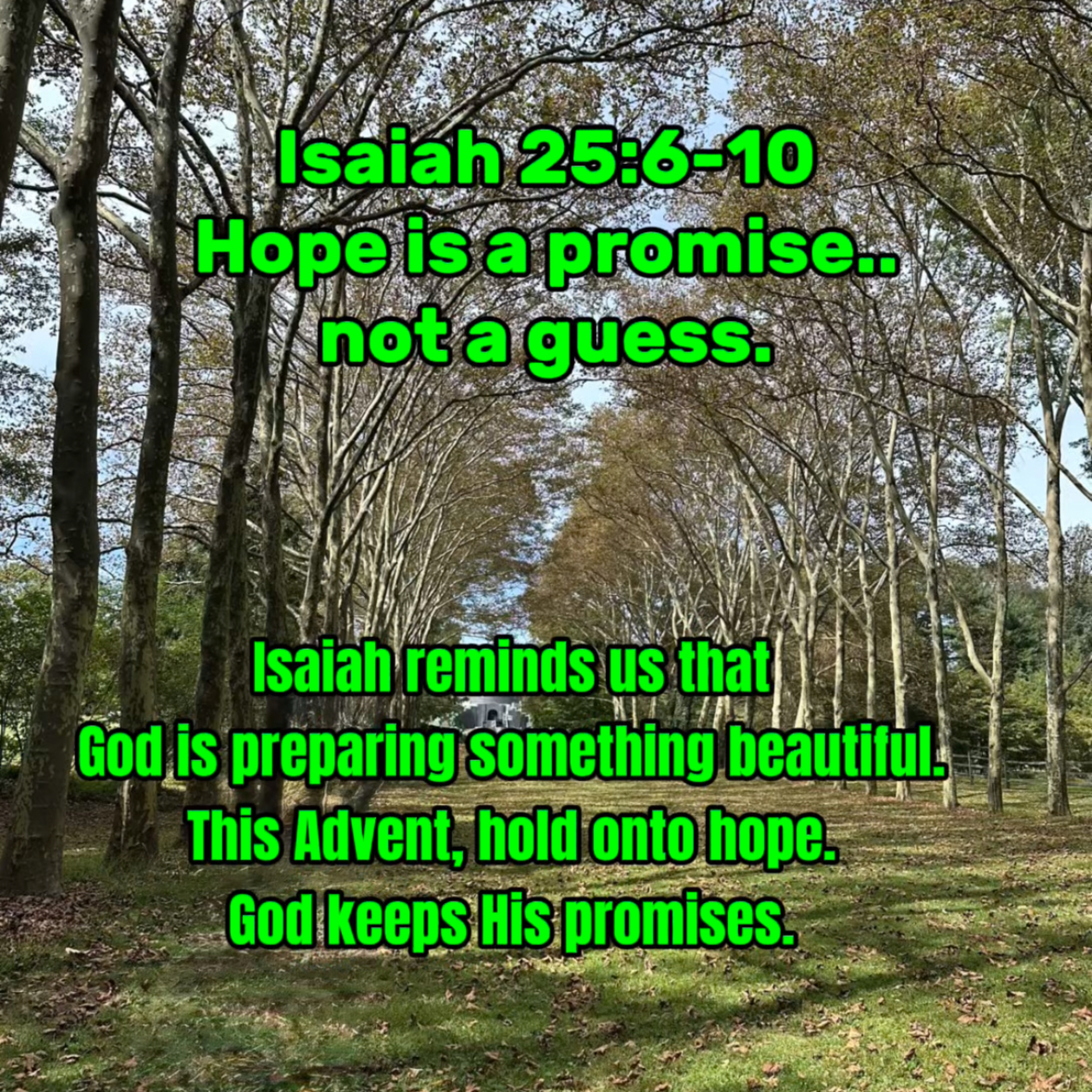 A Feast of Hope: Isaiah 25:6–10a episode artwork