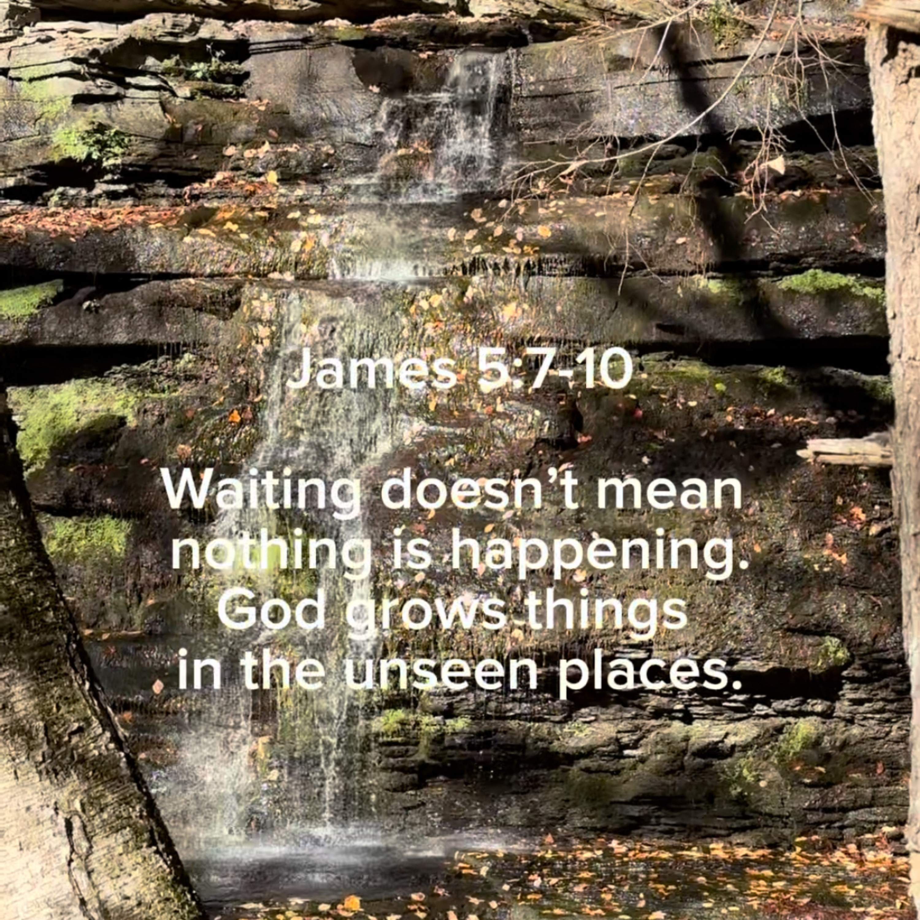 Gaudete Sunday Reminder: Joy in the Waiting Gaudete Sunday Reminder: Joy in the Waiting