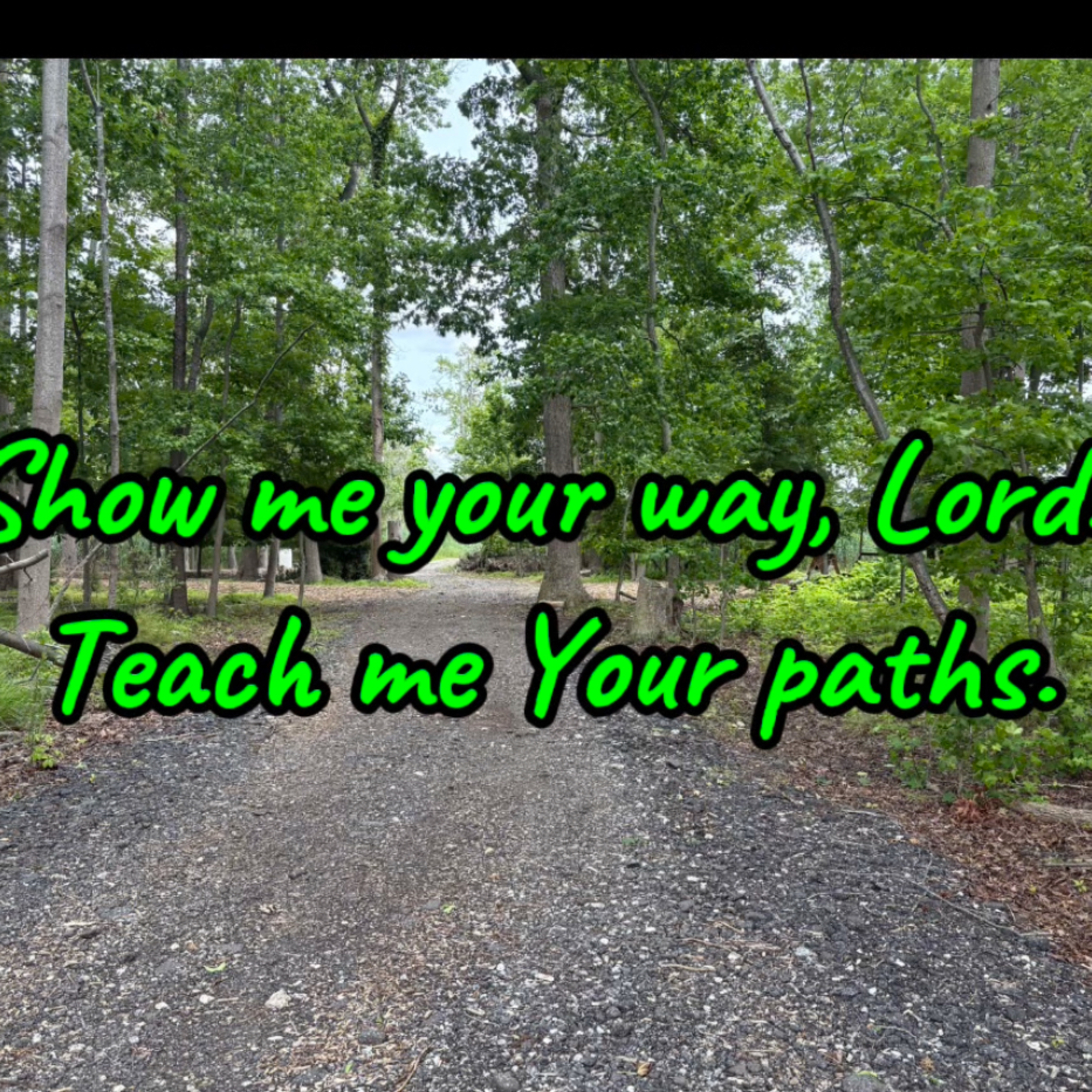 When You Don’t Know Which Way to Go