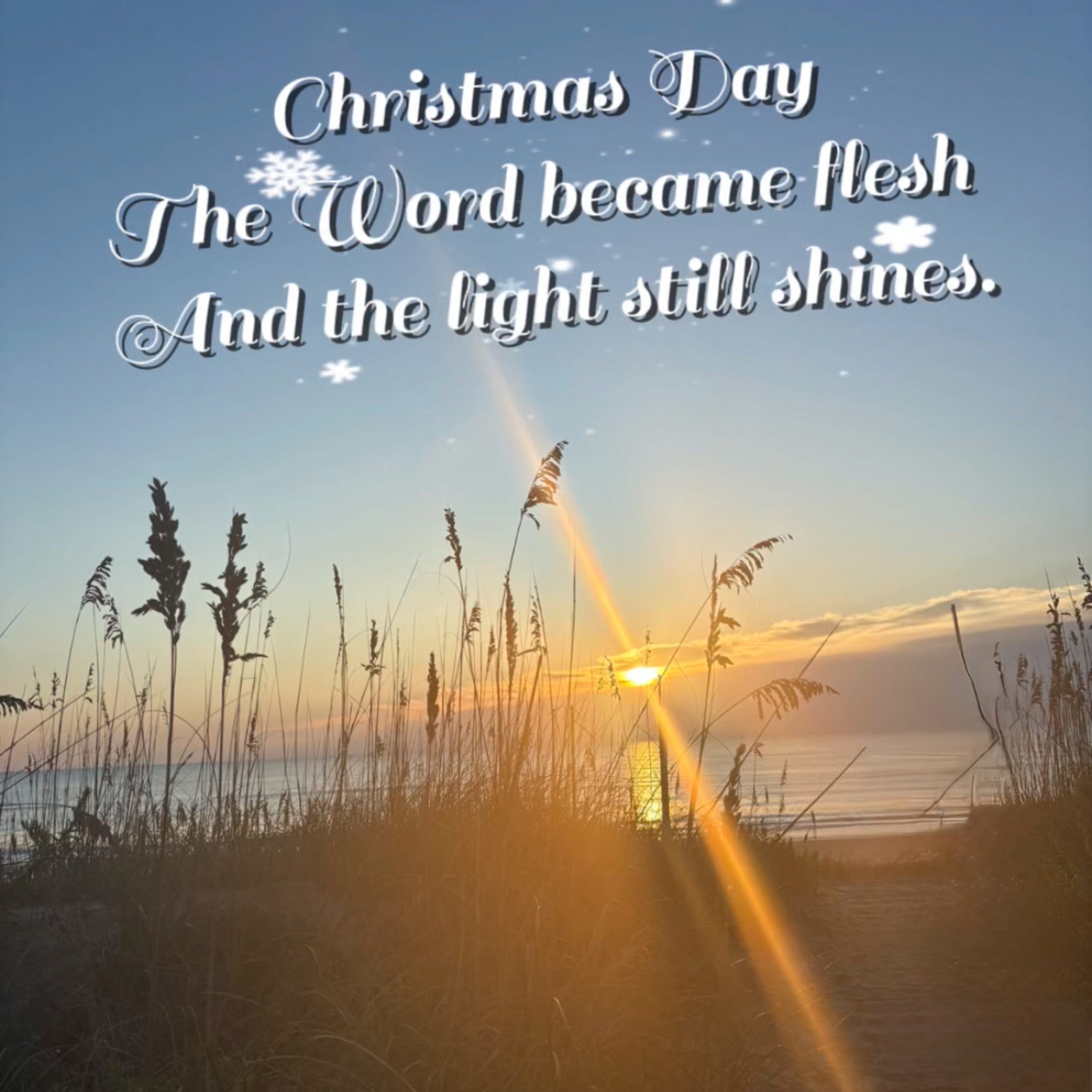 The Light Came Into the World episode artwork