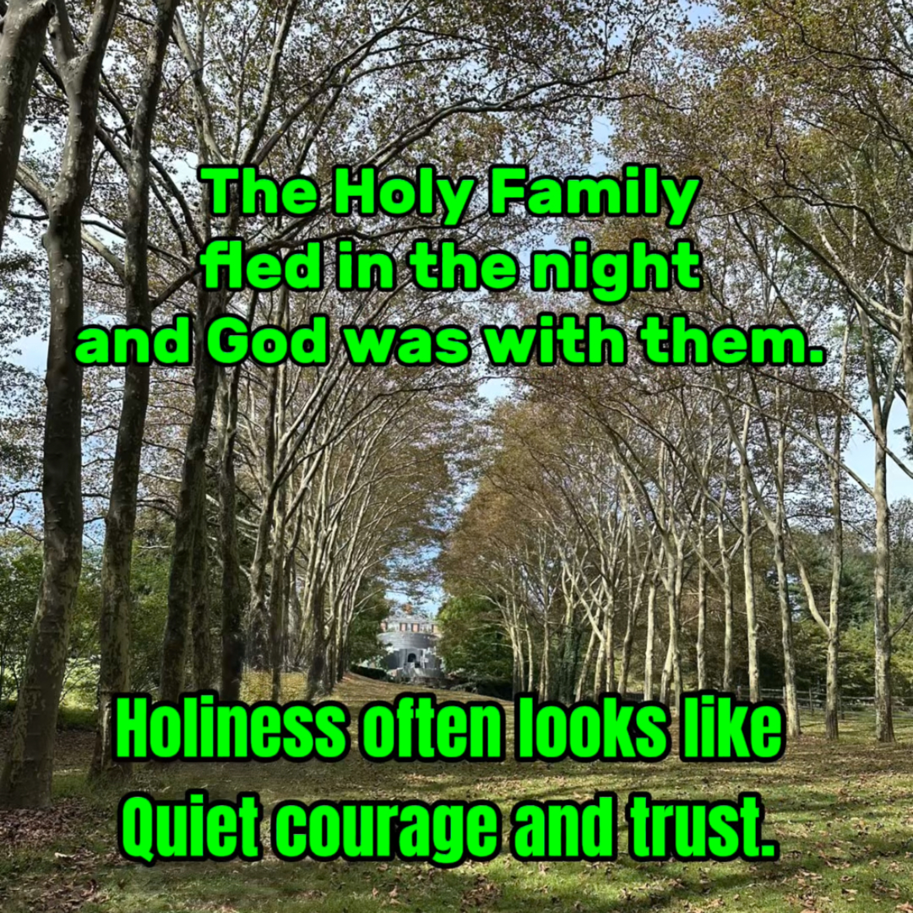 When God’s Family Had to Flee | Holy Family Feast episode artwork