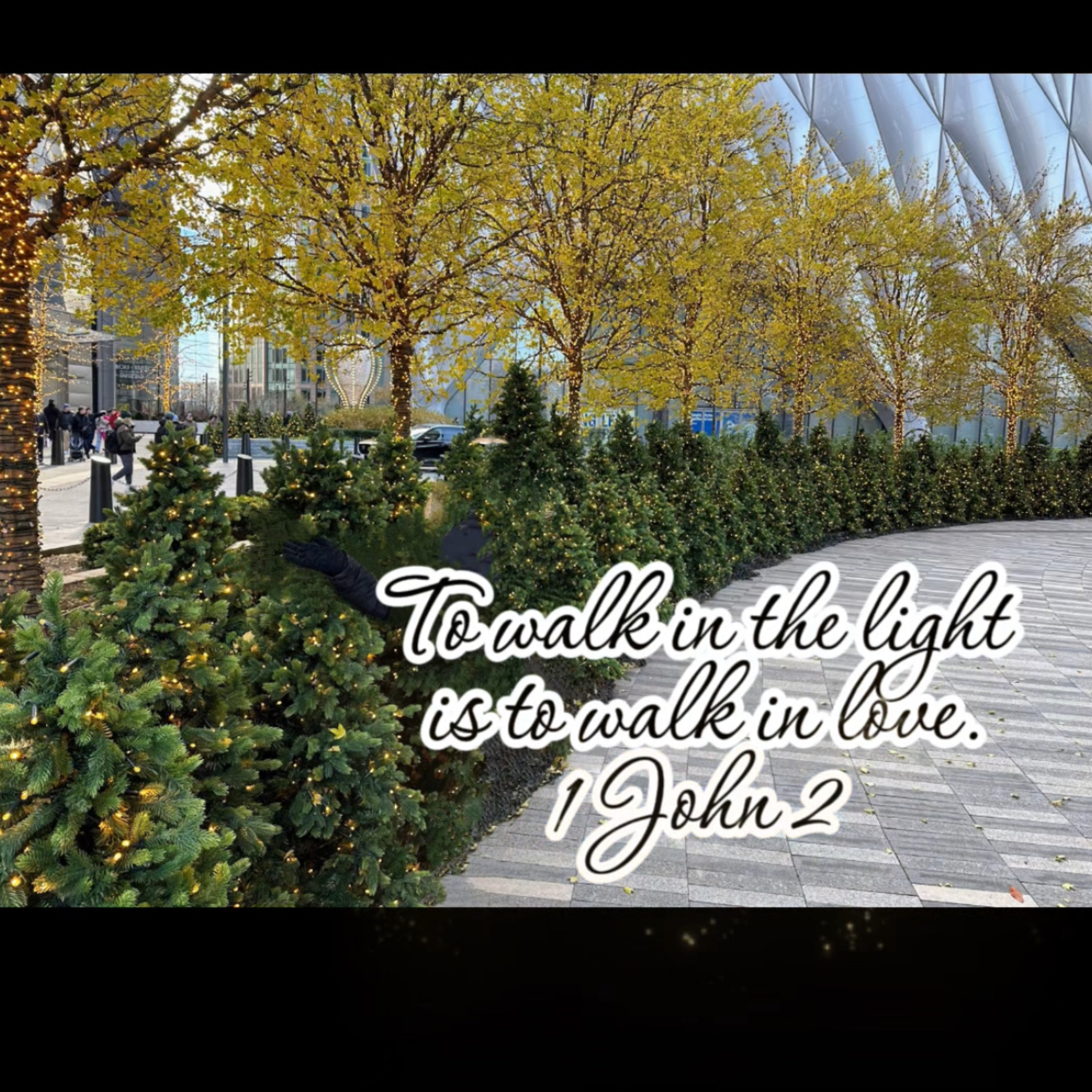 Walking in the Light Looks Like Love | 1 John 2 episode artwork
