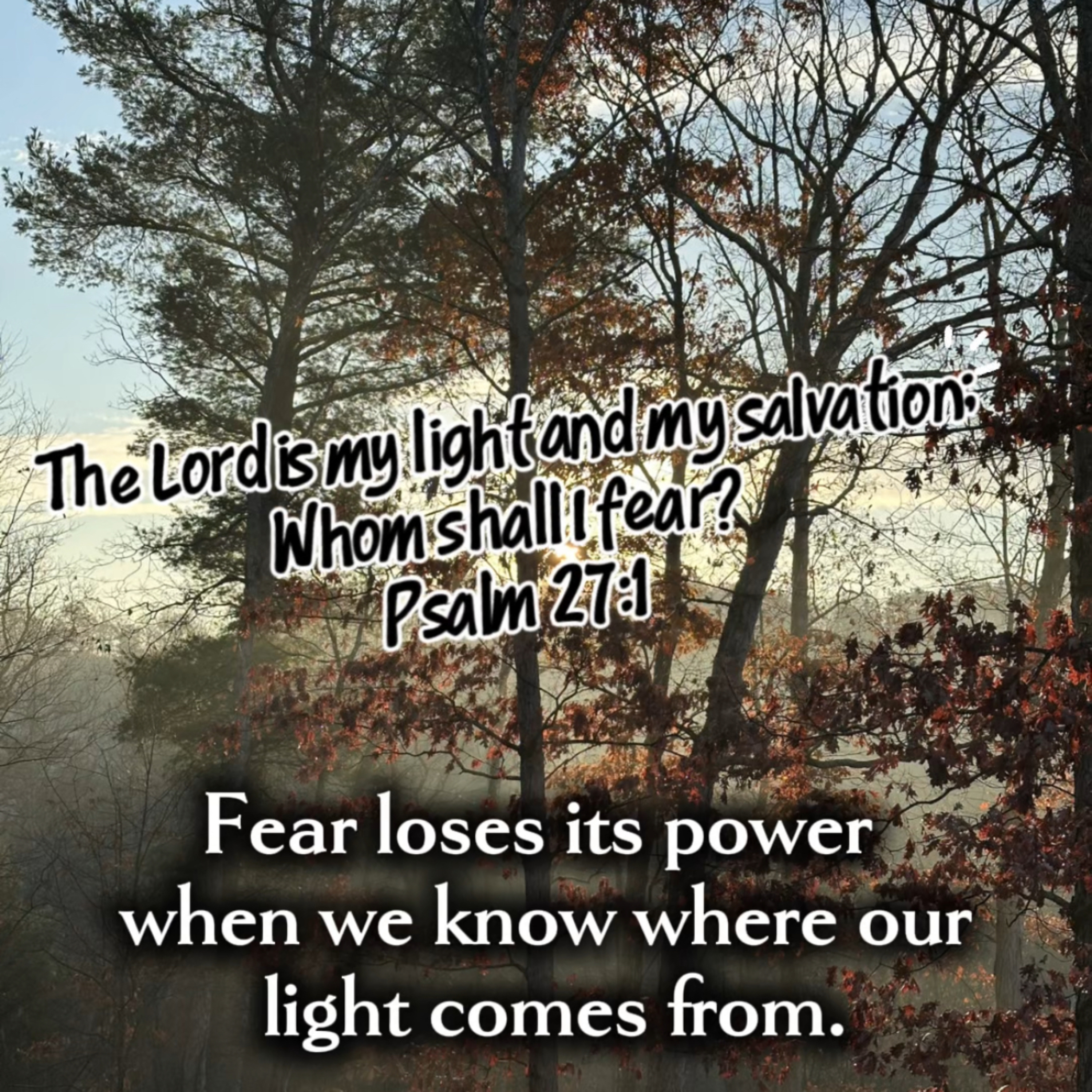 When Fear Rises, Remember Where Your Light Comes From episode artwork