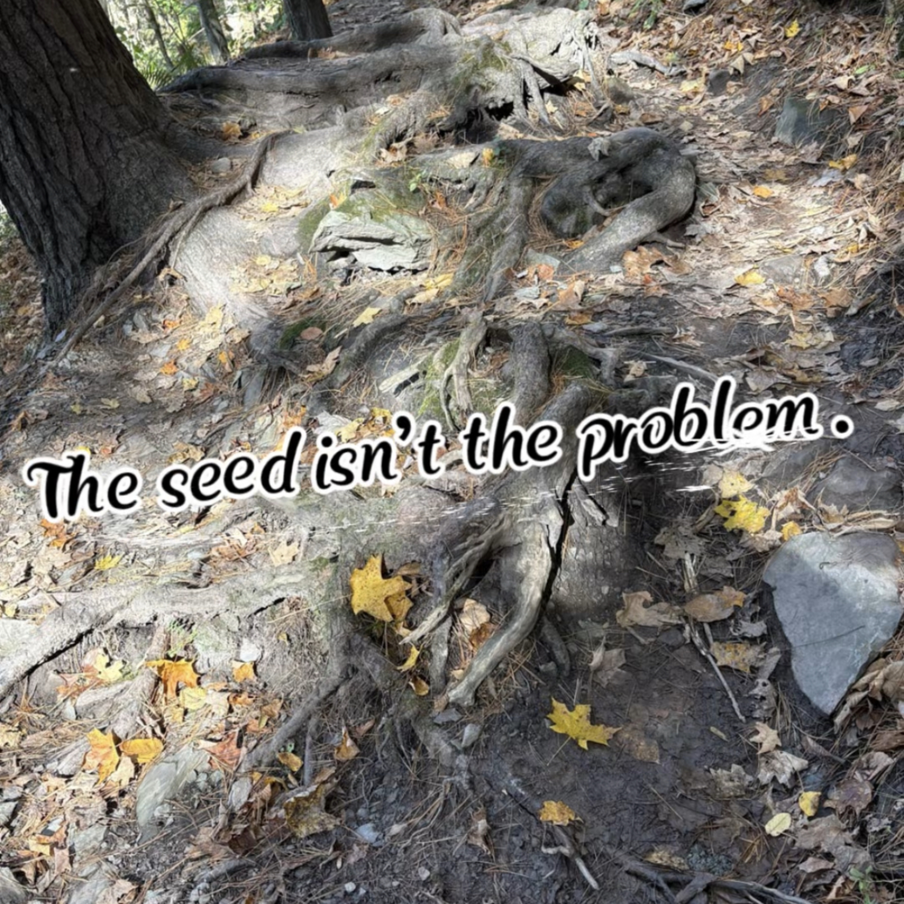 What Kind of Soil Is Your Faith? episode artwork
