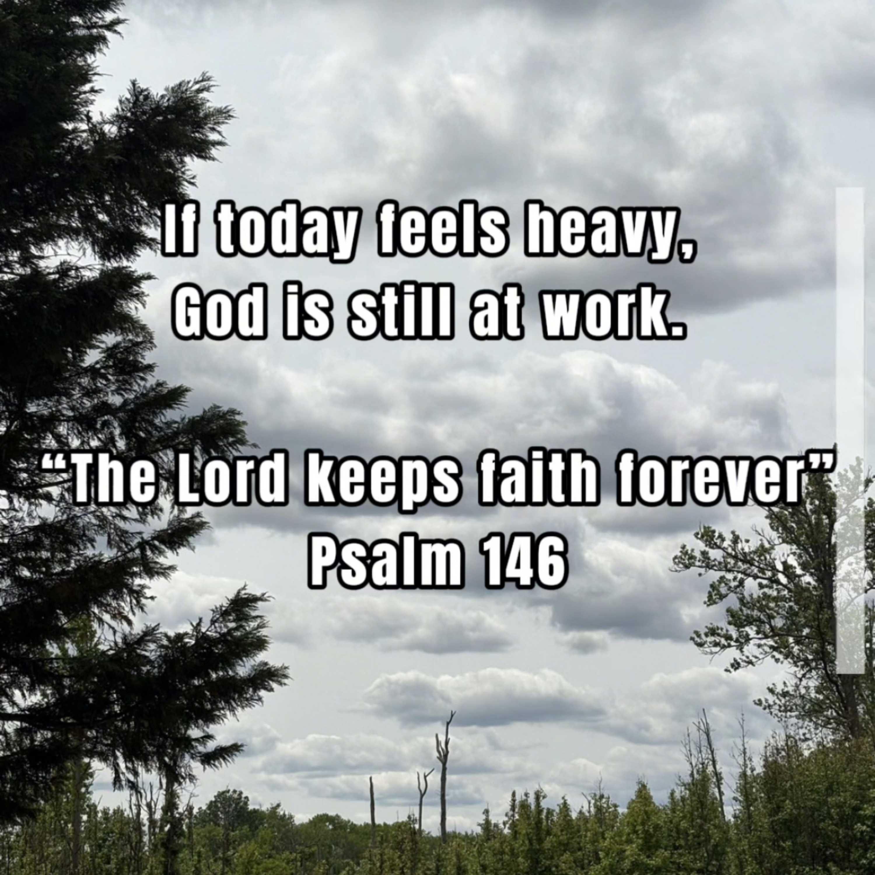 A Psalm of Hope and Trust episode artwork