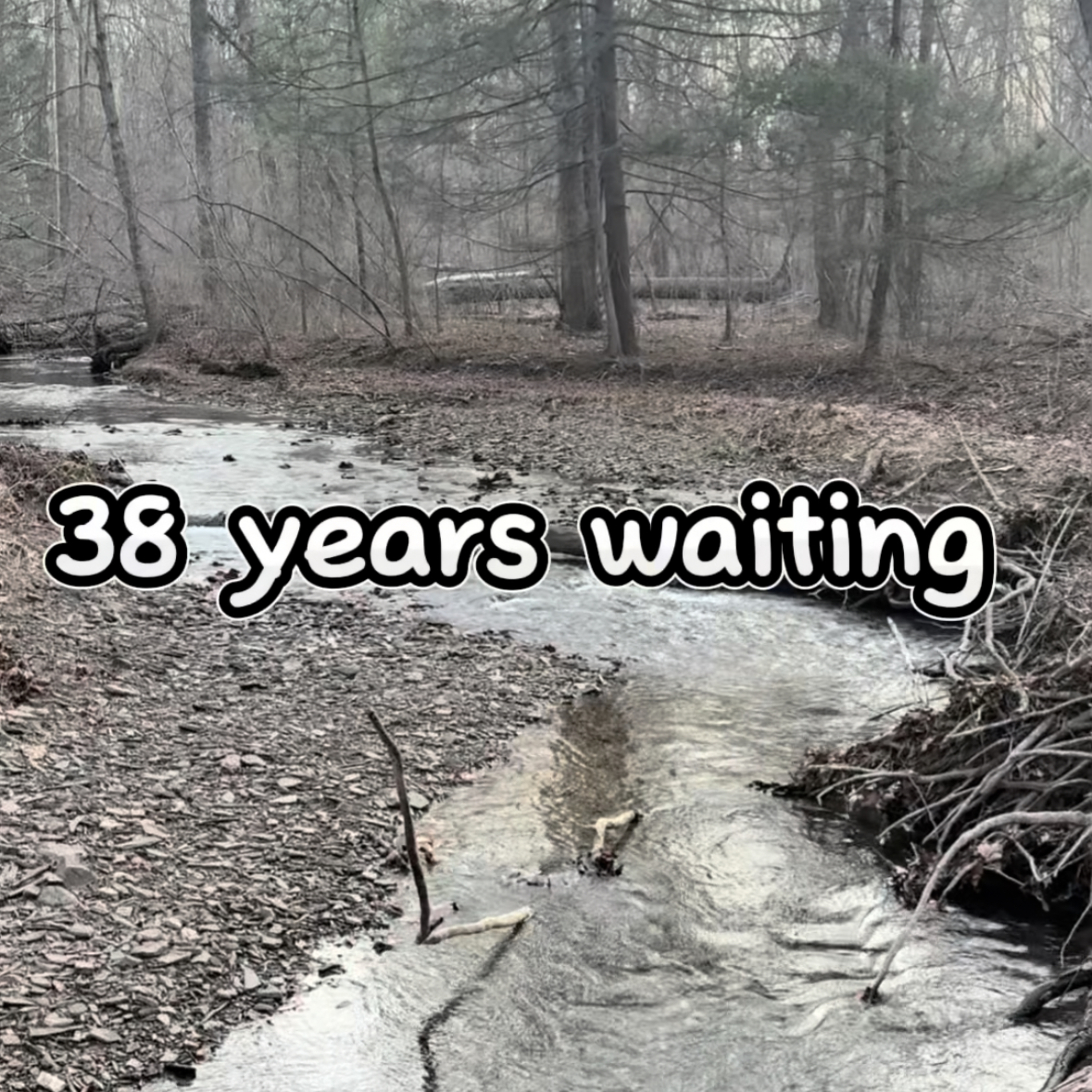 He waited 38 years..then this happened episode artwork