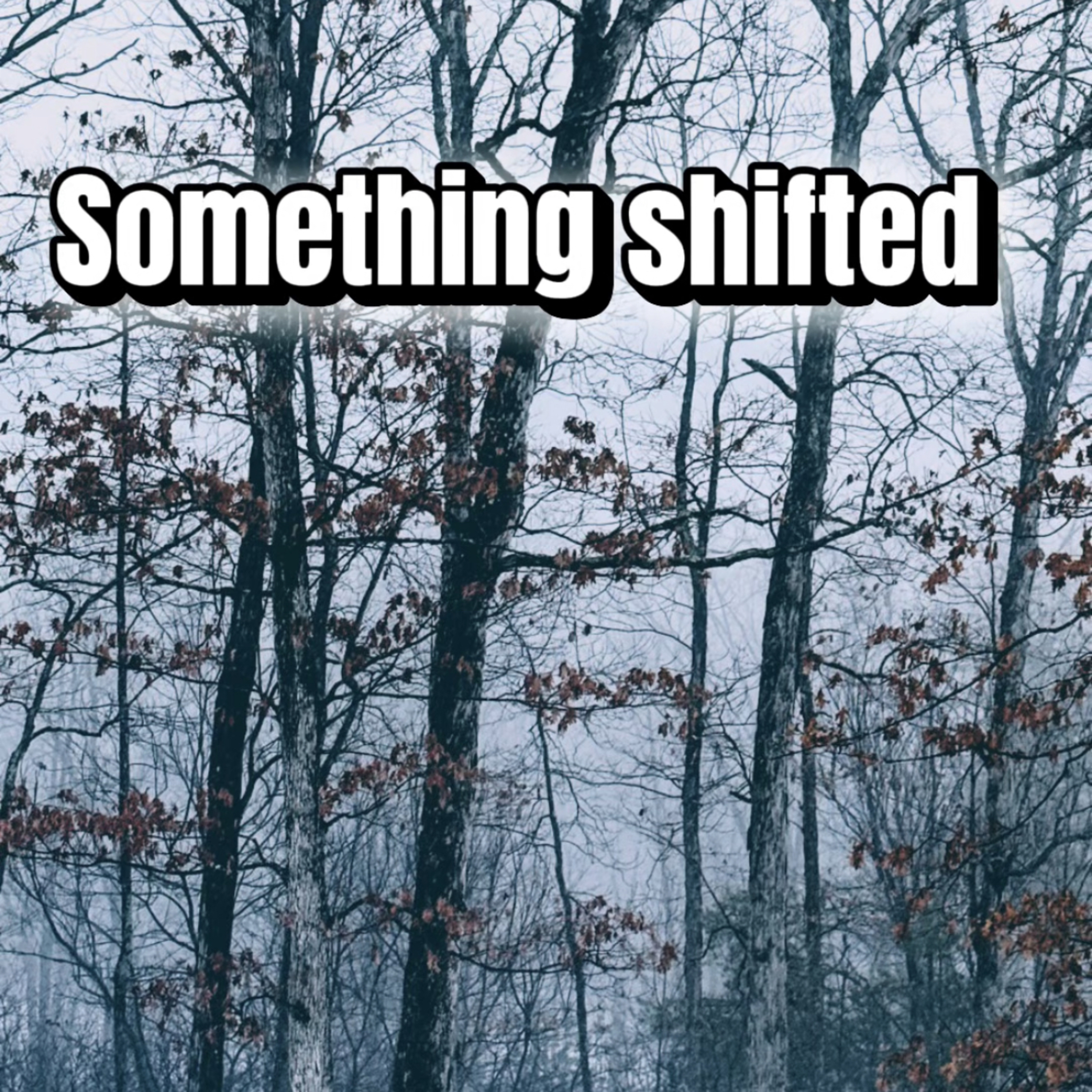 Something Shifted episode artwork