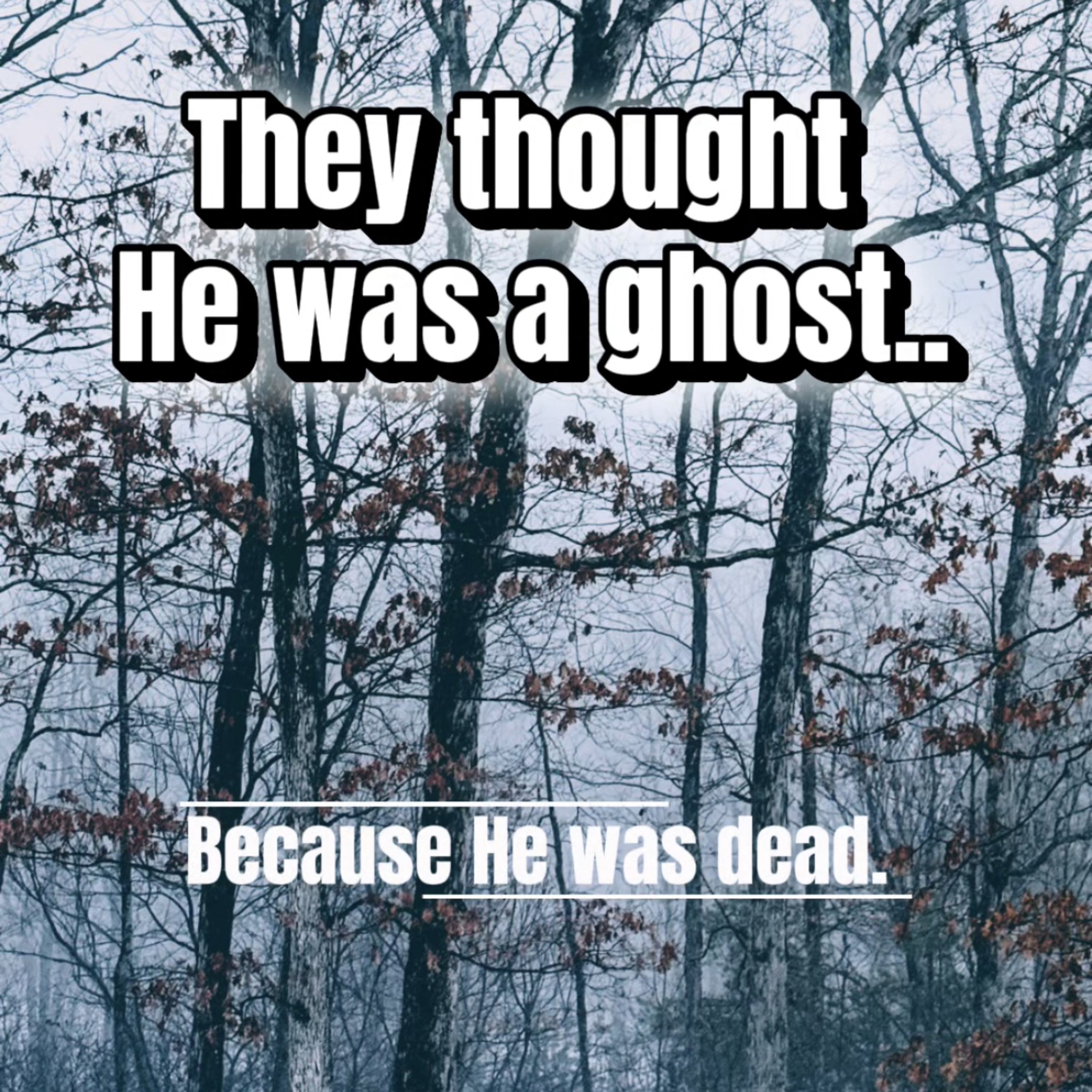 They Thought He Was A Ghost episode artwork
