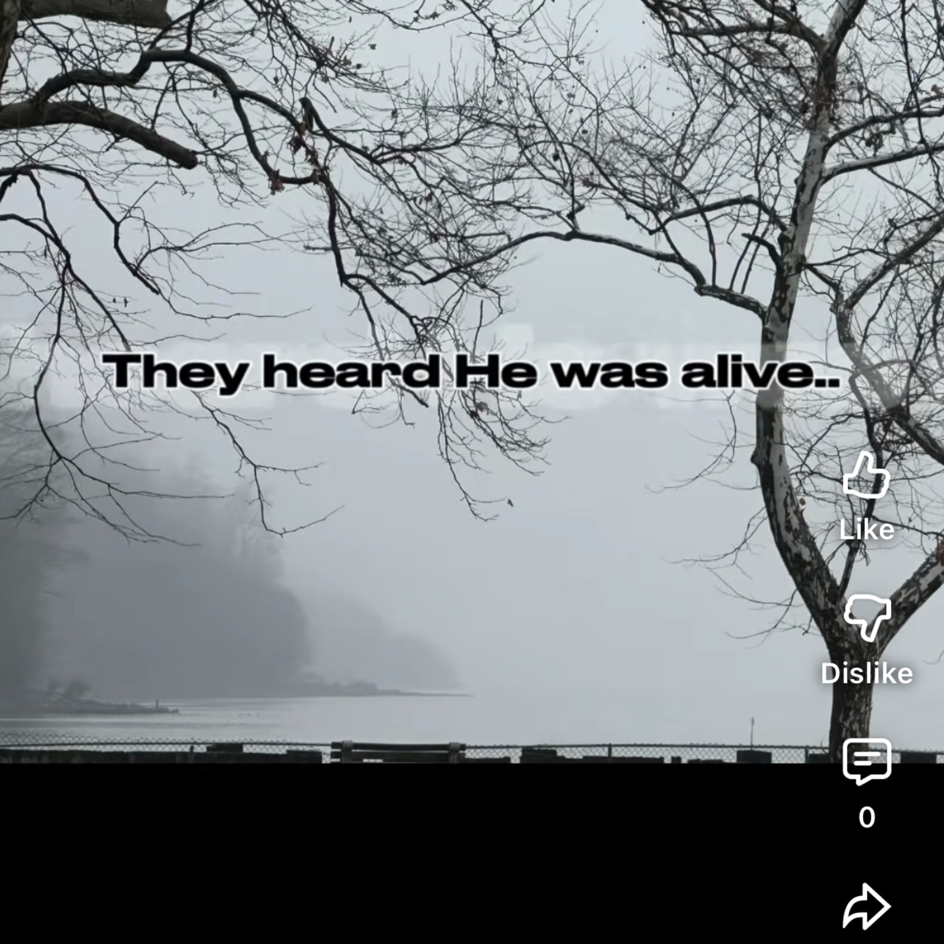 They Didn't Believe It episode artwork