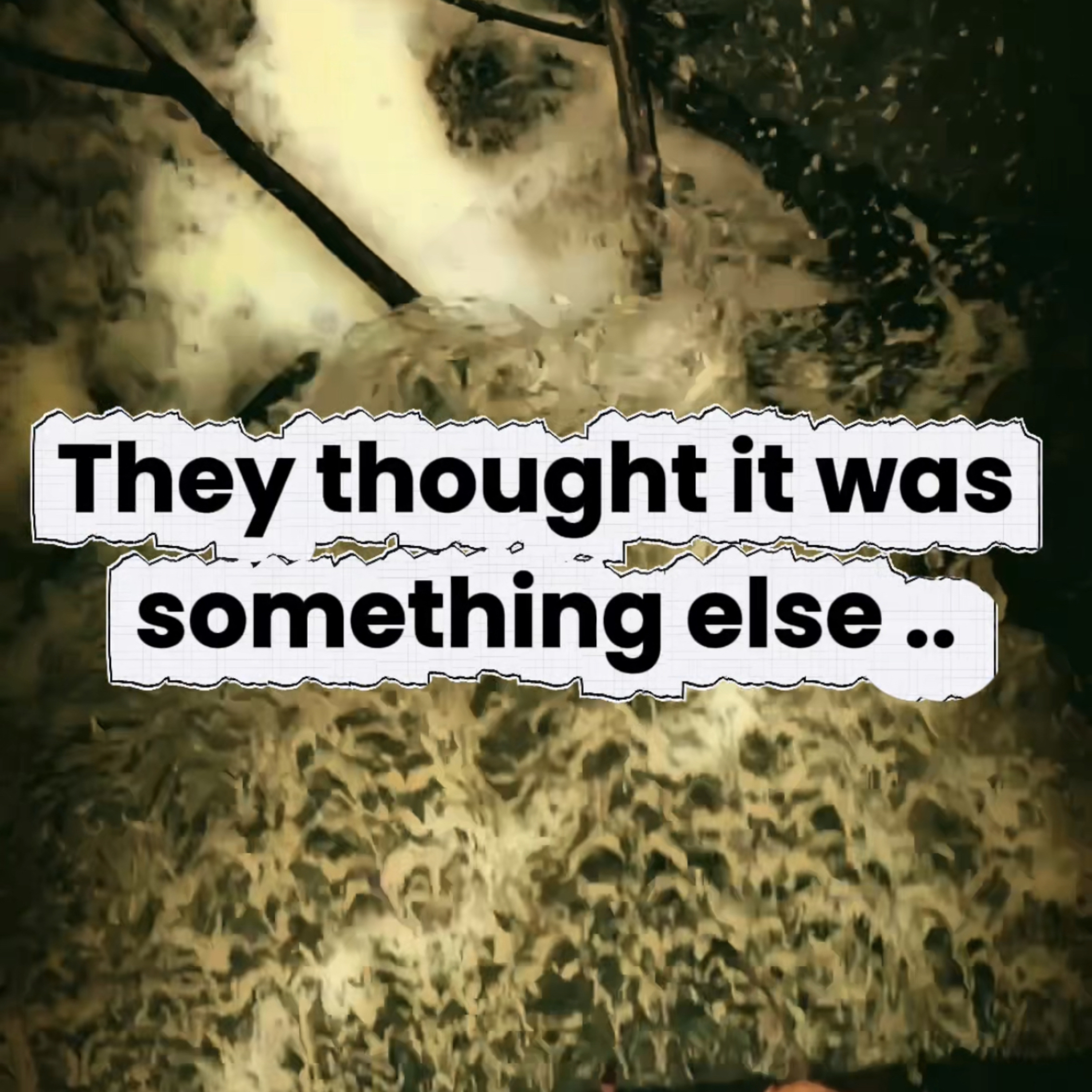 They Thought It Was Something to Fear… But It Was Him episode artwork