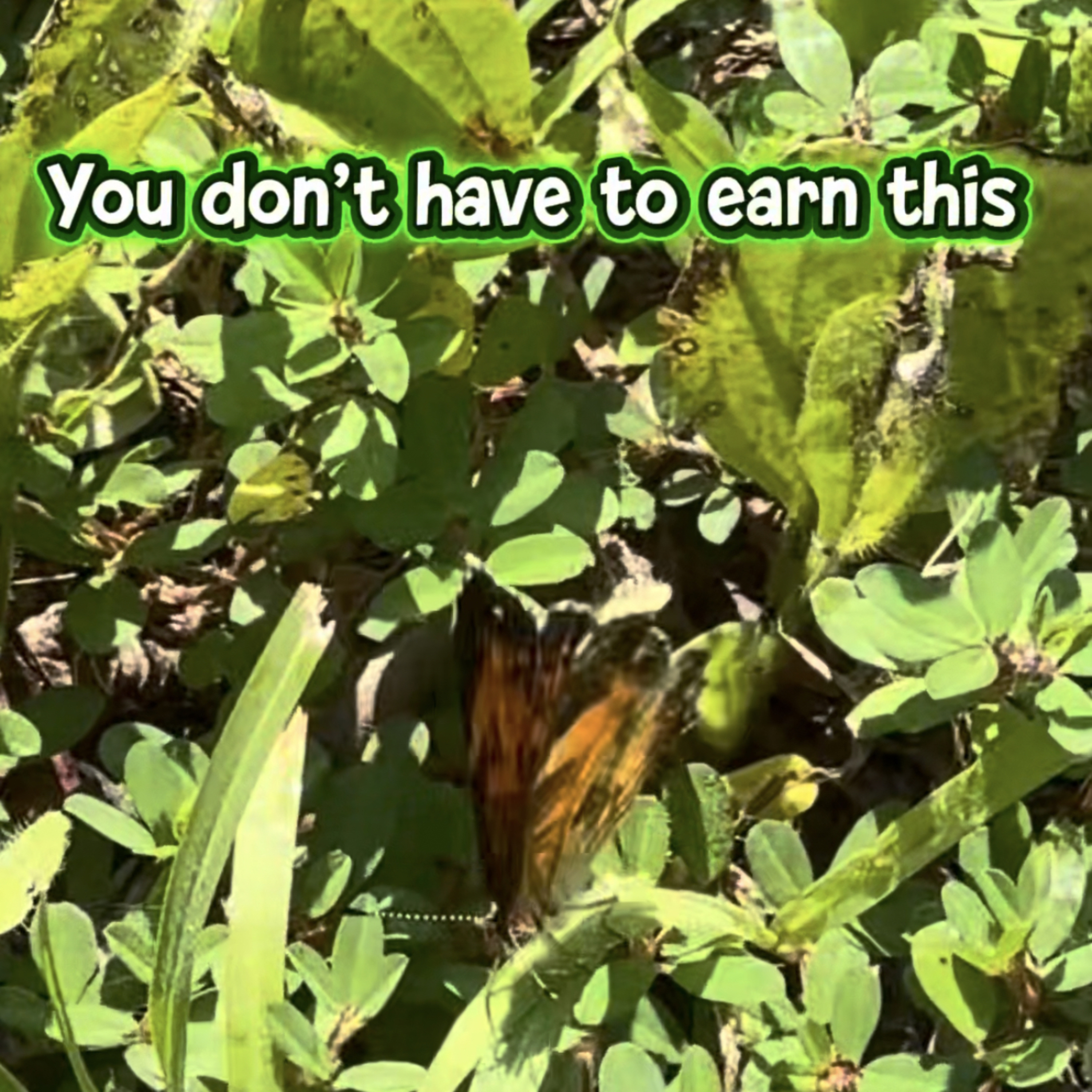 You Don't Have To Earn This episode artwork