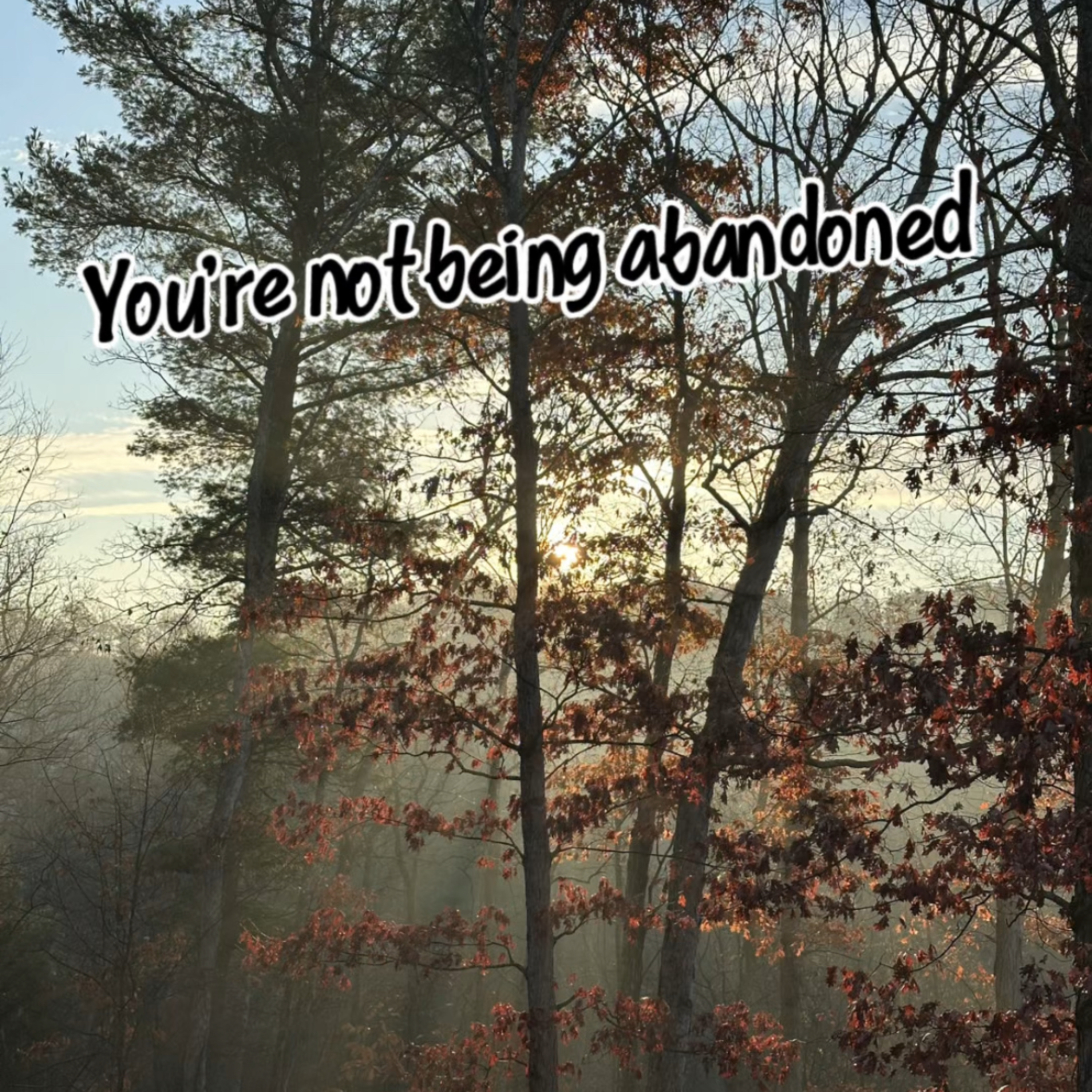 You're Not Being Abandoned episode artwork