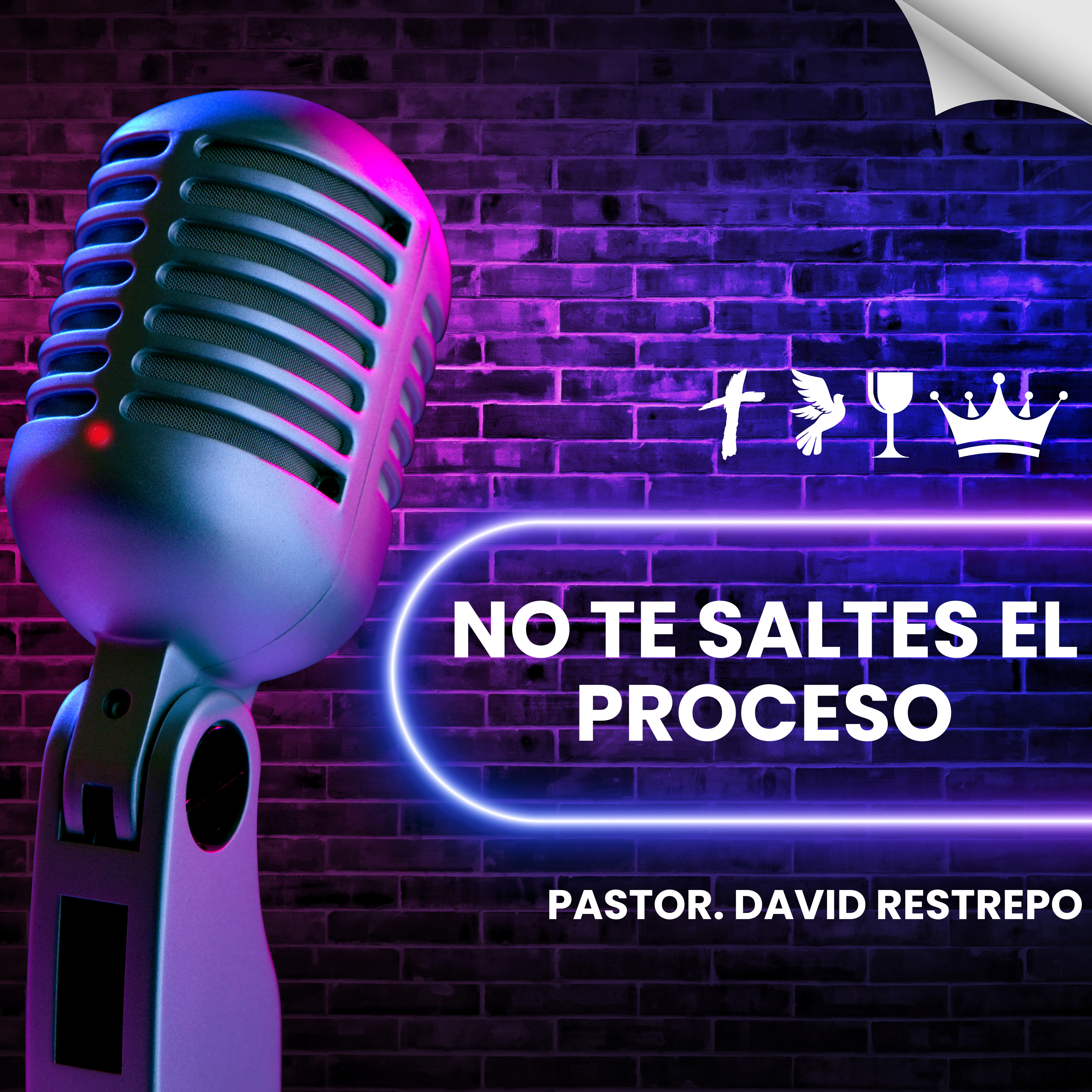 No Te Saltes el Proceso episode artwork