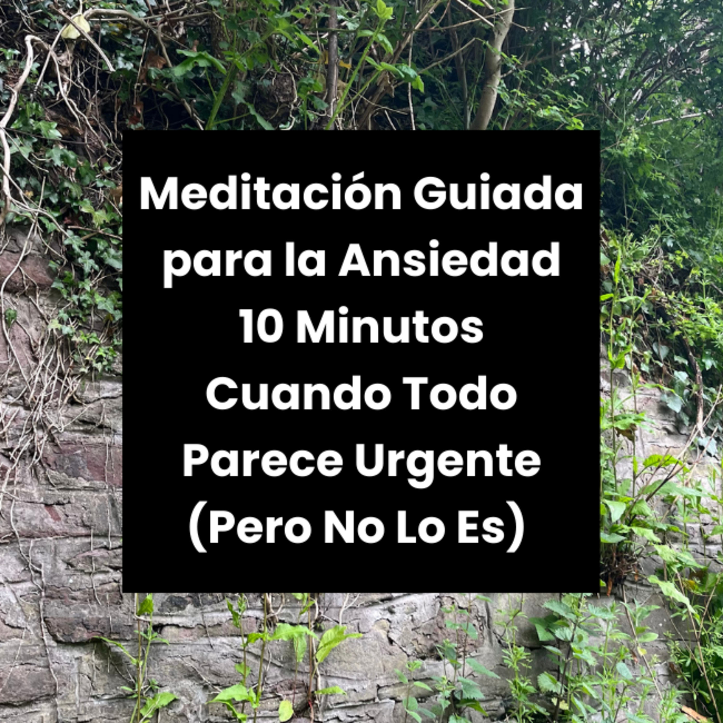 Meditaciónes Guiadas para la Ansiedad - 10 Minutos