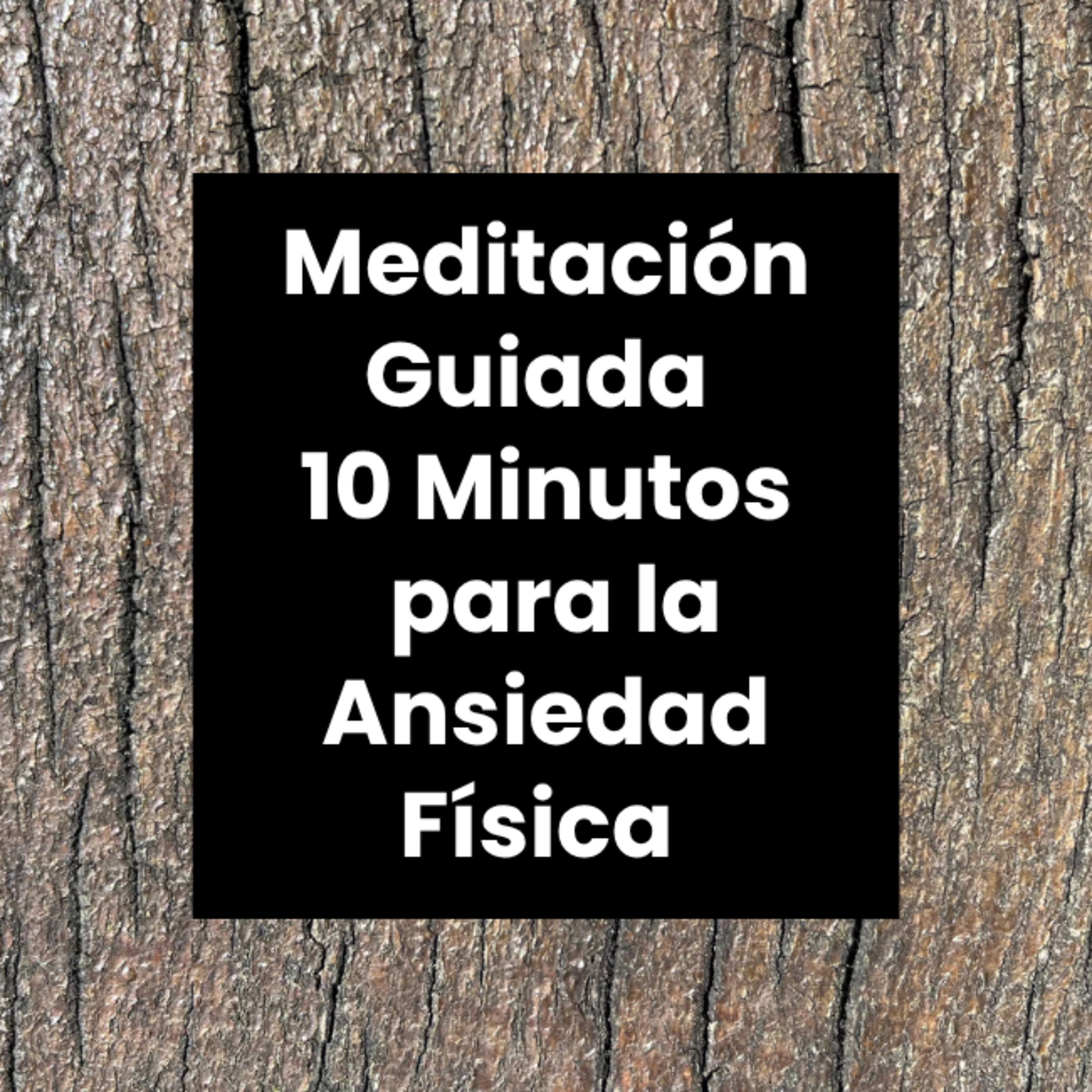 Meditaciónes Guiadas para la Ansiedad - 10 Minutos