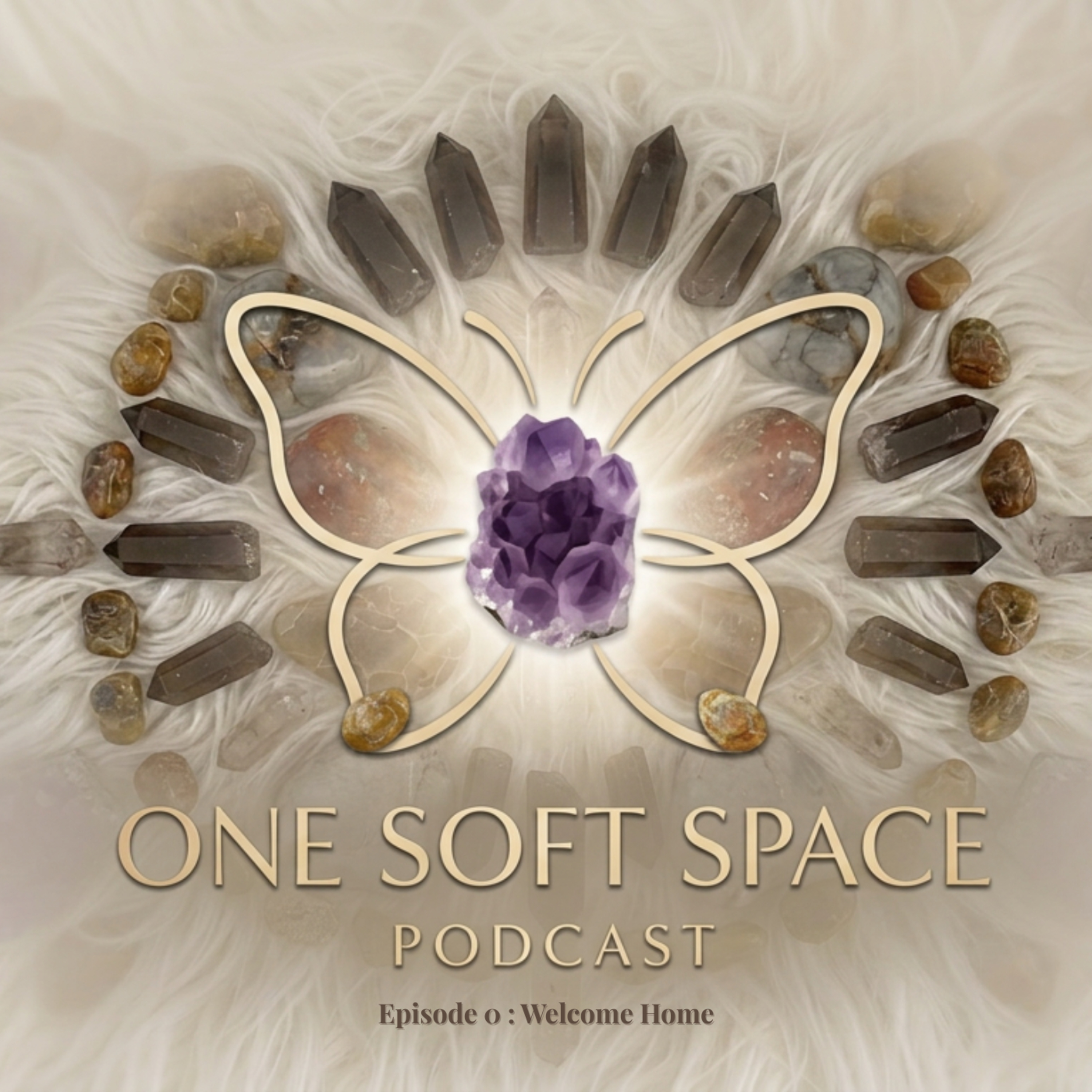 Episode 0 : Welcome Home to One Soft Space episode artwork