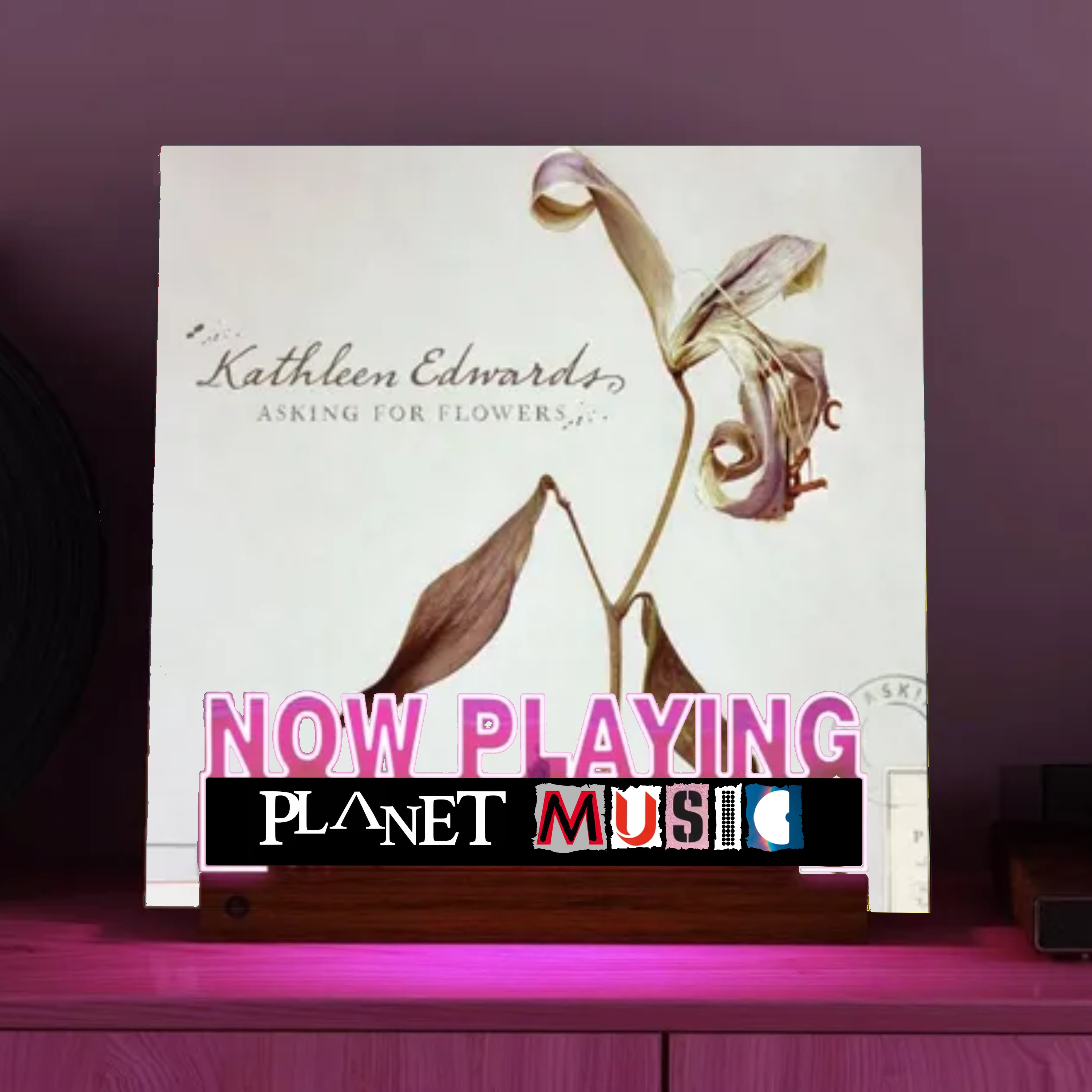 13. Kathleen Edwards - Asking for Flowers - Was Your Darkest Day As Dark As This One? episode artwork