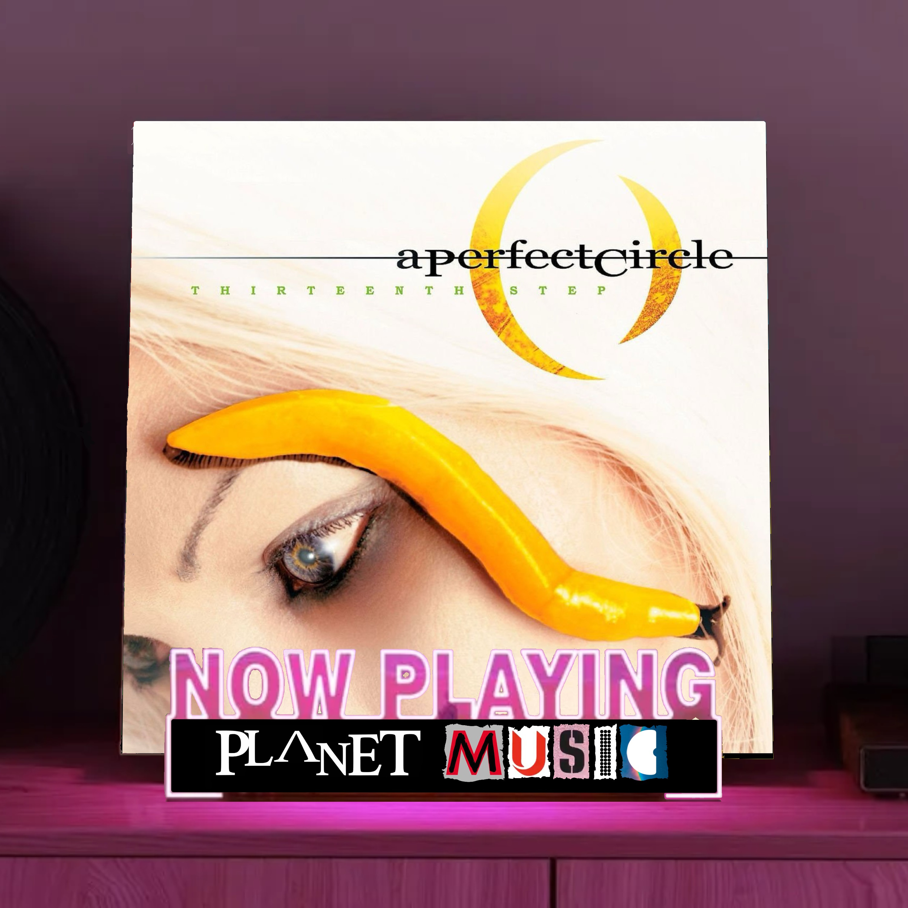 34. A Perfect Circle - Thirteenth Step - Clever Got Me This Far....