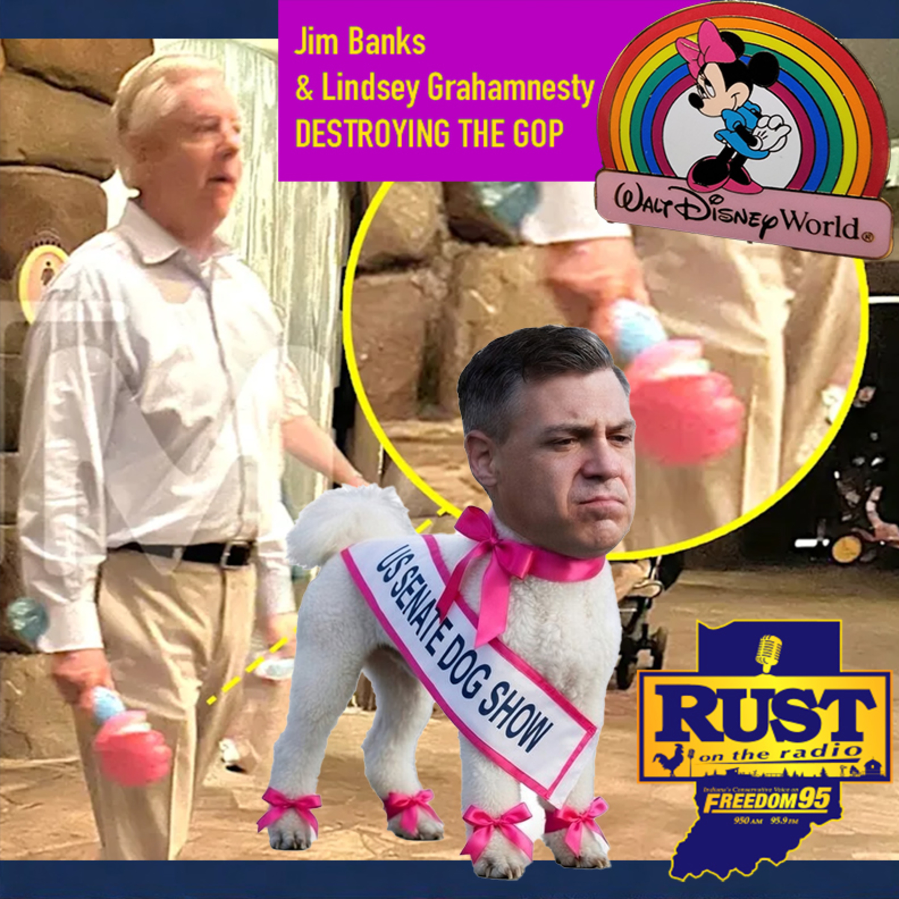 GOP US Senater goes to DISNEYWORLD while the DHS is not funded and we are at war? episode artwork