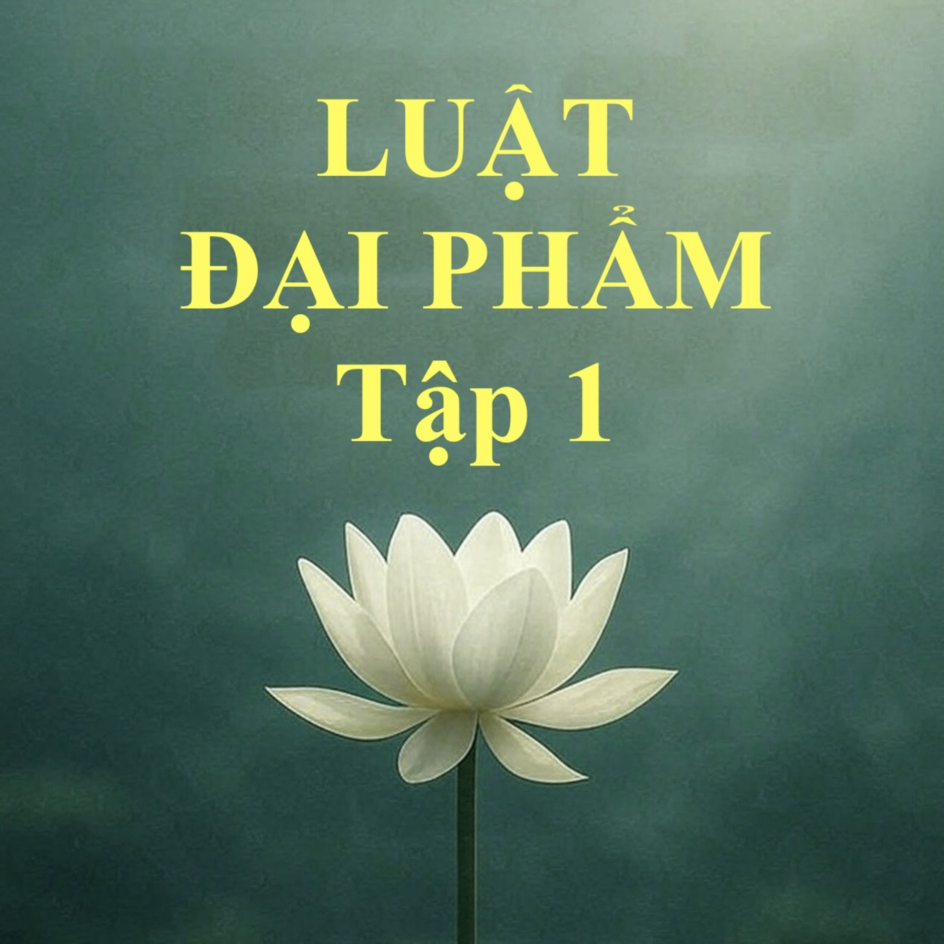 TẬP 11 - TỤNG PHẨM THỨ 5 - CHƯƠNG TRỌNG YẾU - PHẬN SỰ ĐỐI VỚI THẦY TẾ ĐỘ episode artwork