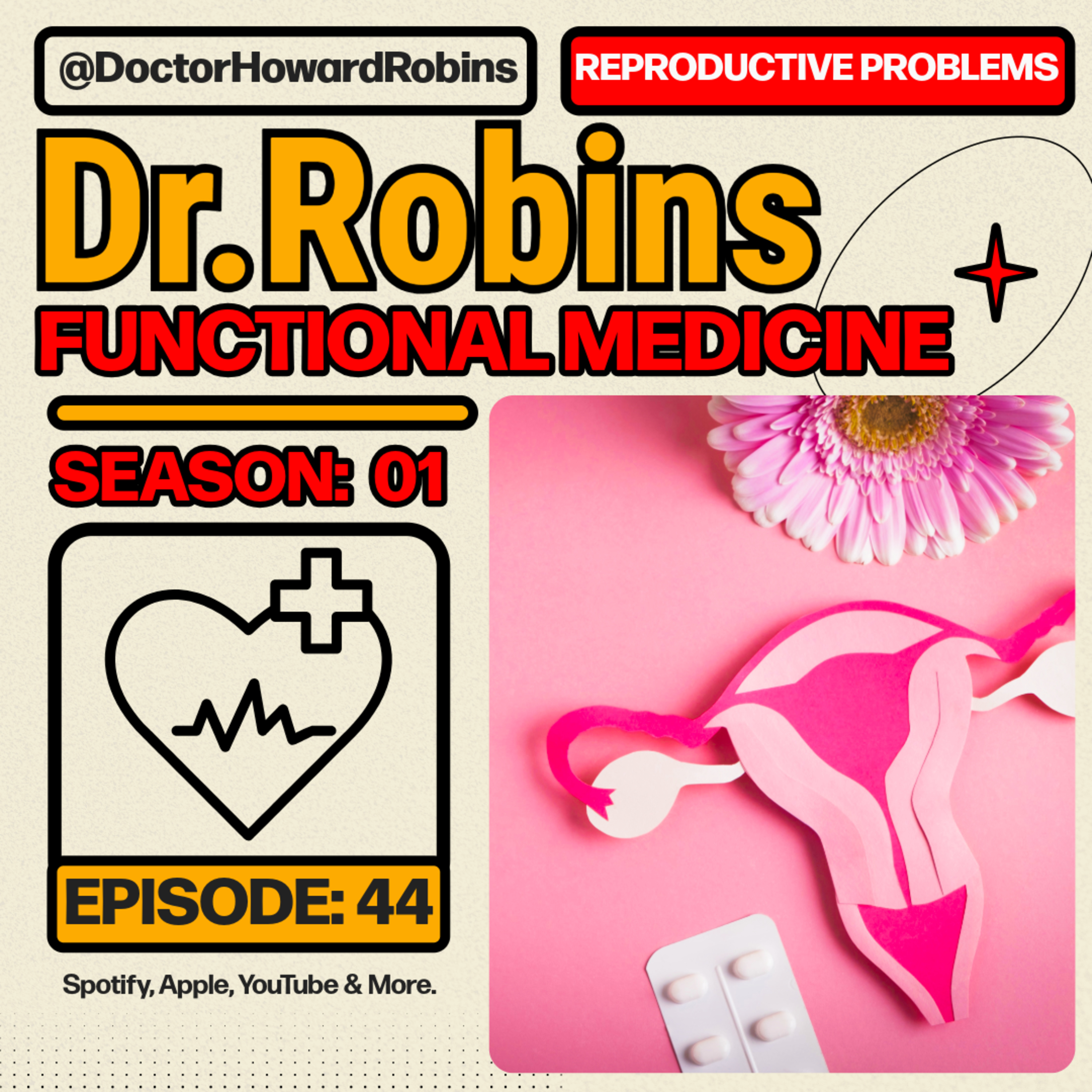🌸 Women’s Reproductive Health: Natural Solutions & Cure | Functional Medicine with Dr. Howard Robins episode artwork