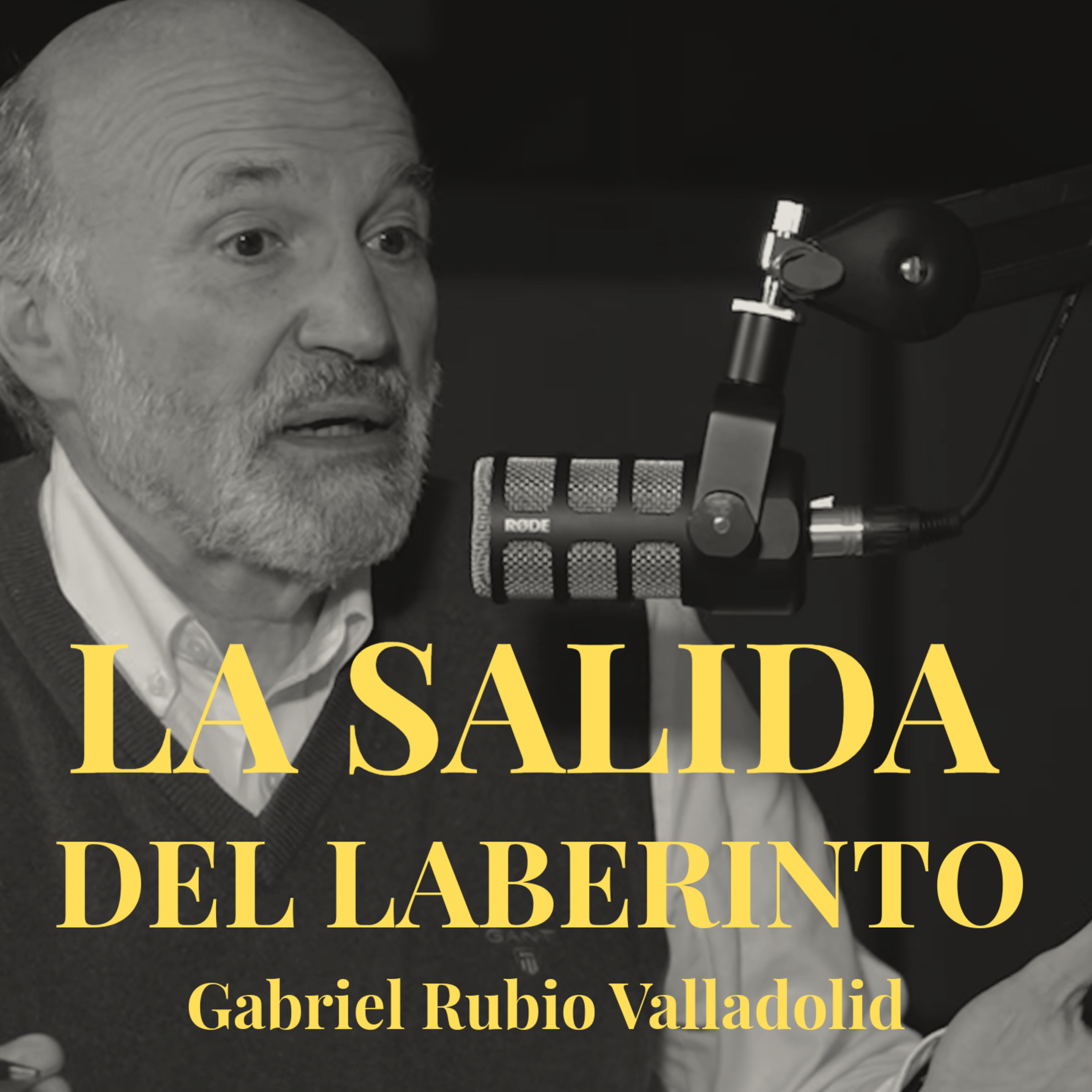 Gabriel Rubio Valladolid / La salida del laberinto