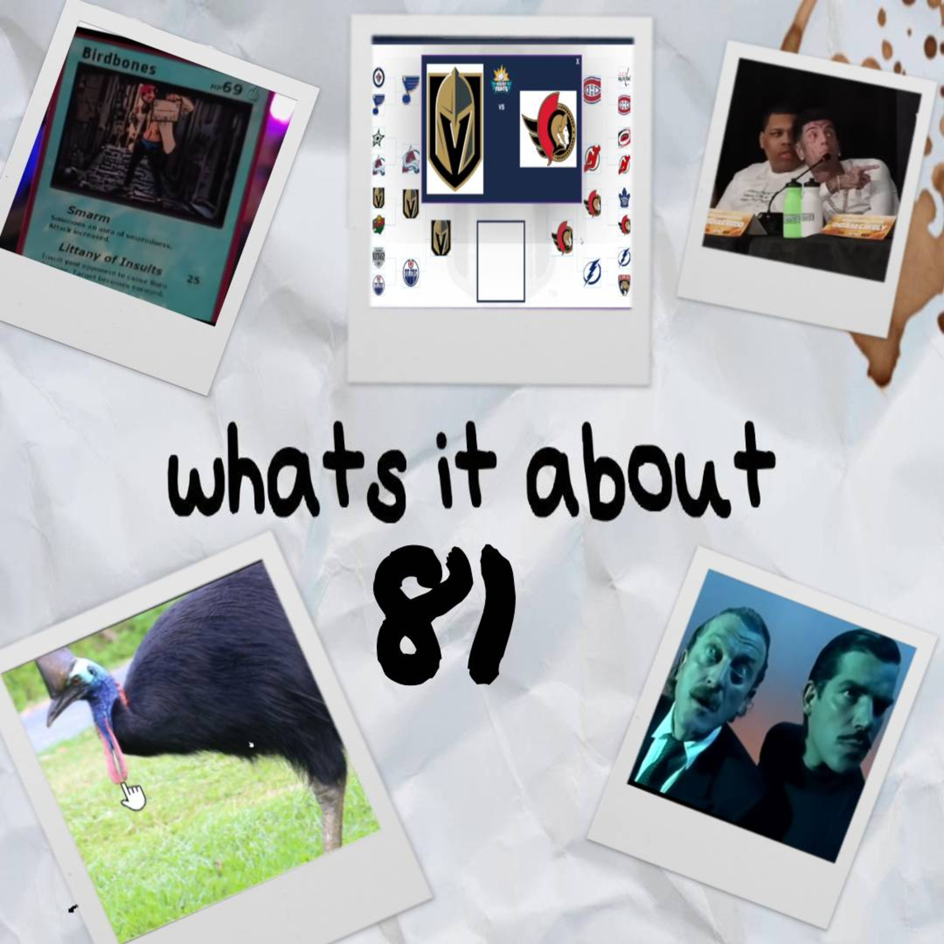 Cassowary - Whats It About #81 episode artwork