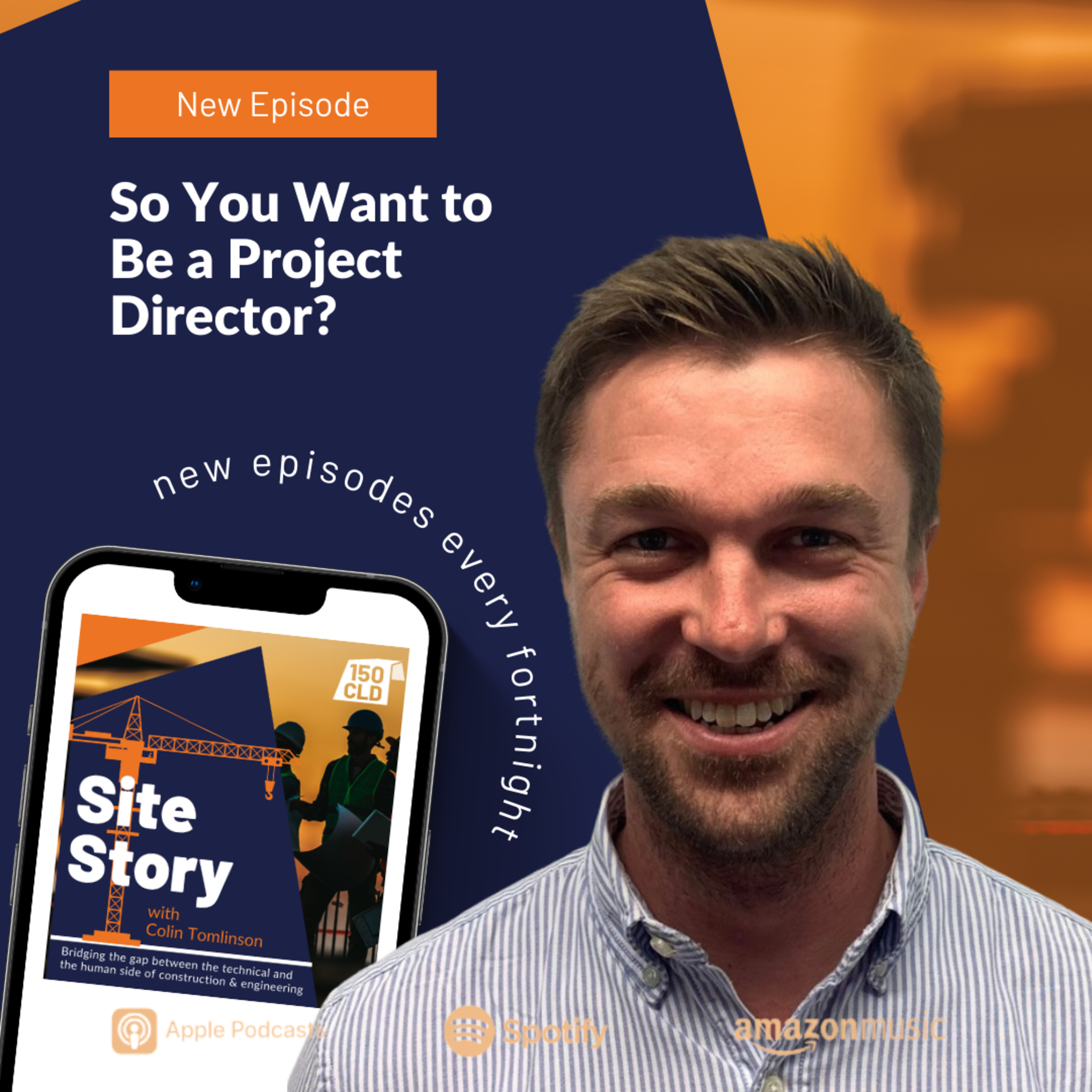 So You Want to Be a Project Director? episode artwork