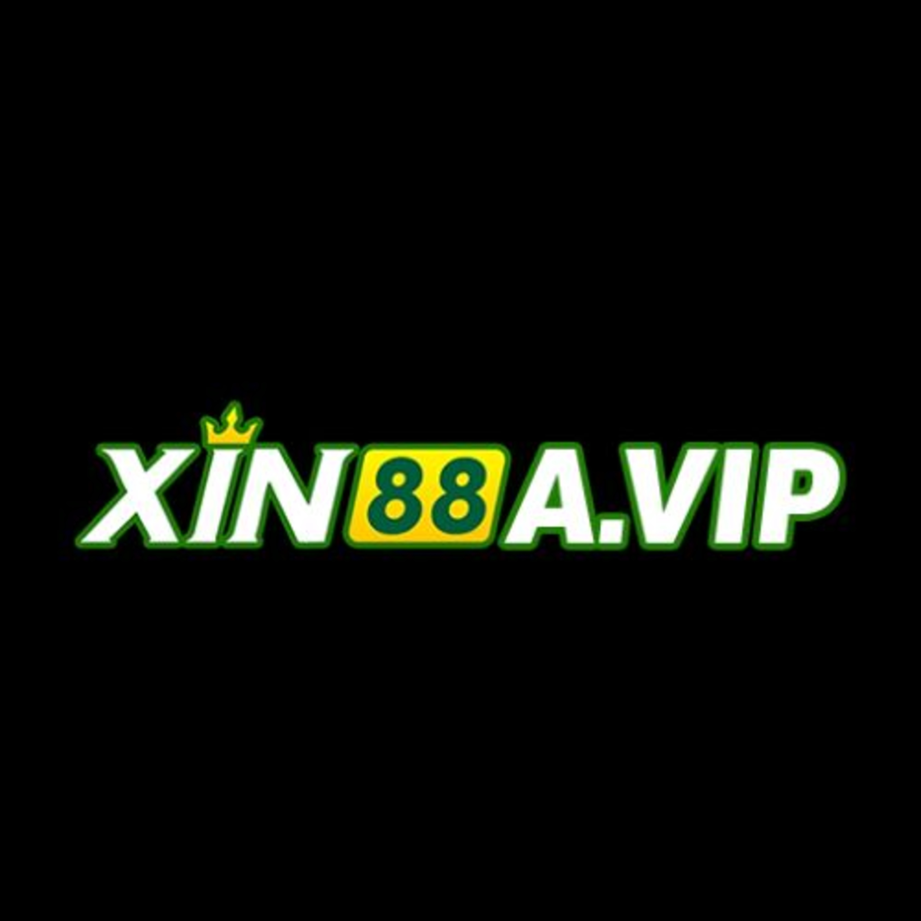 xin88avip