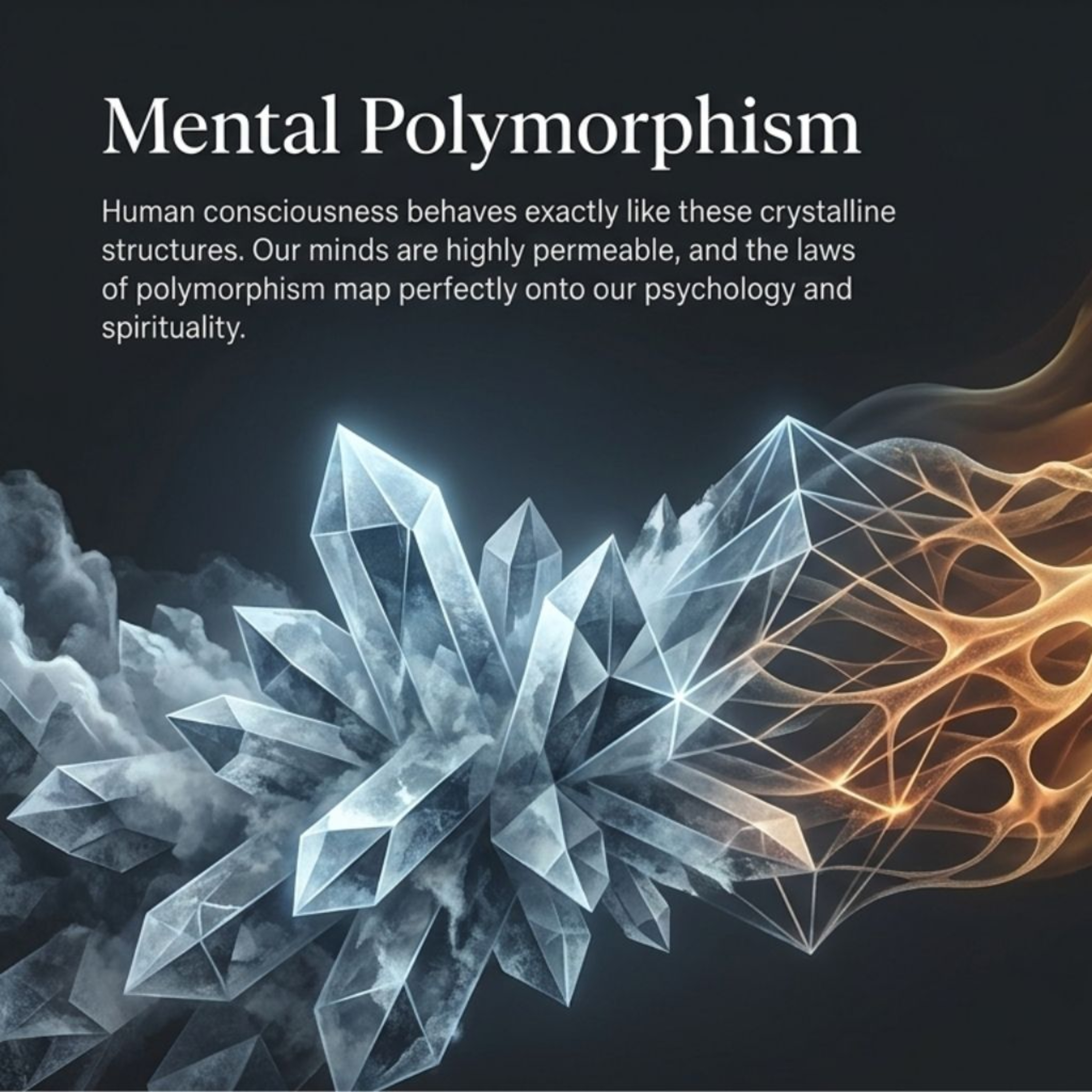 Mental Polymorphism Episode 45 episode artwork