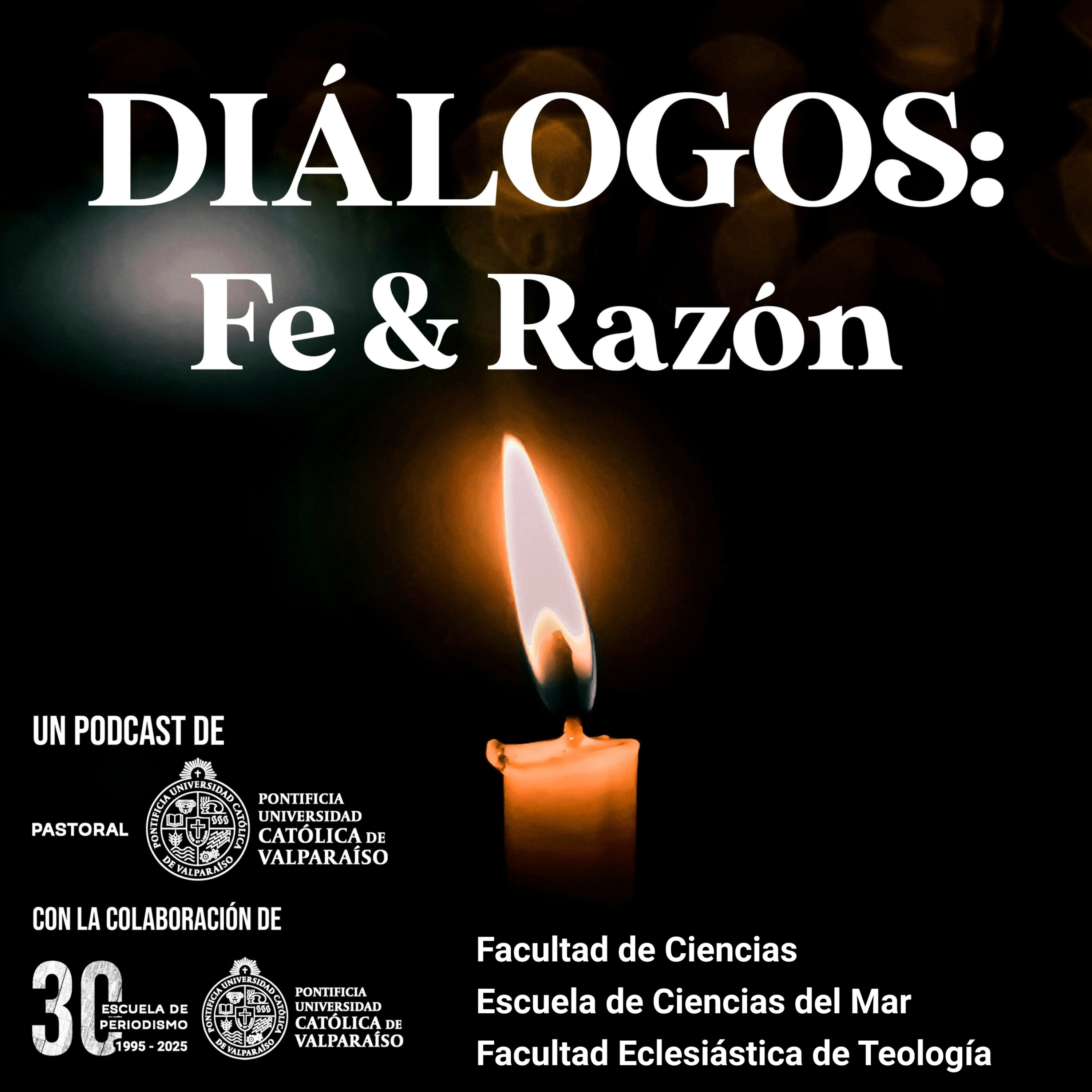 El Evangelio de la creación, capítulo 2 - Laudato Si`