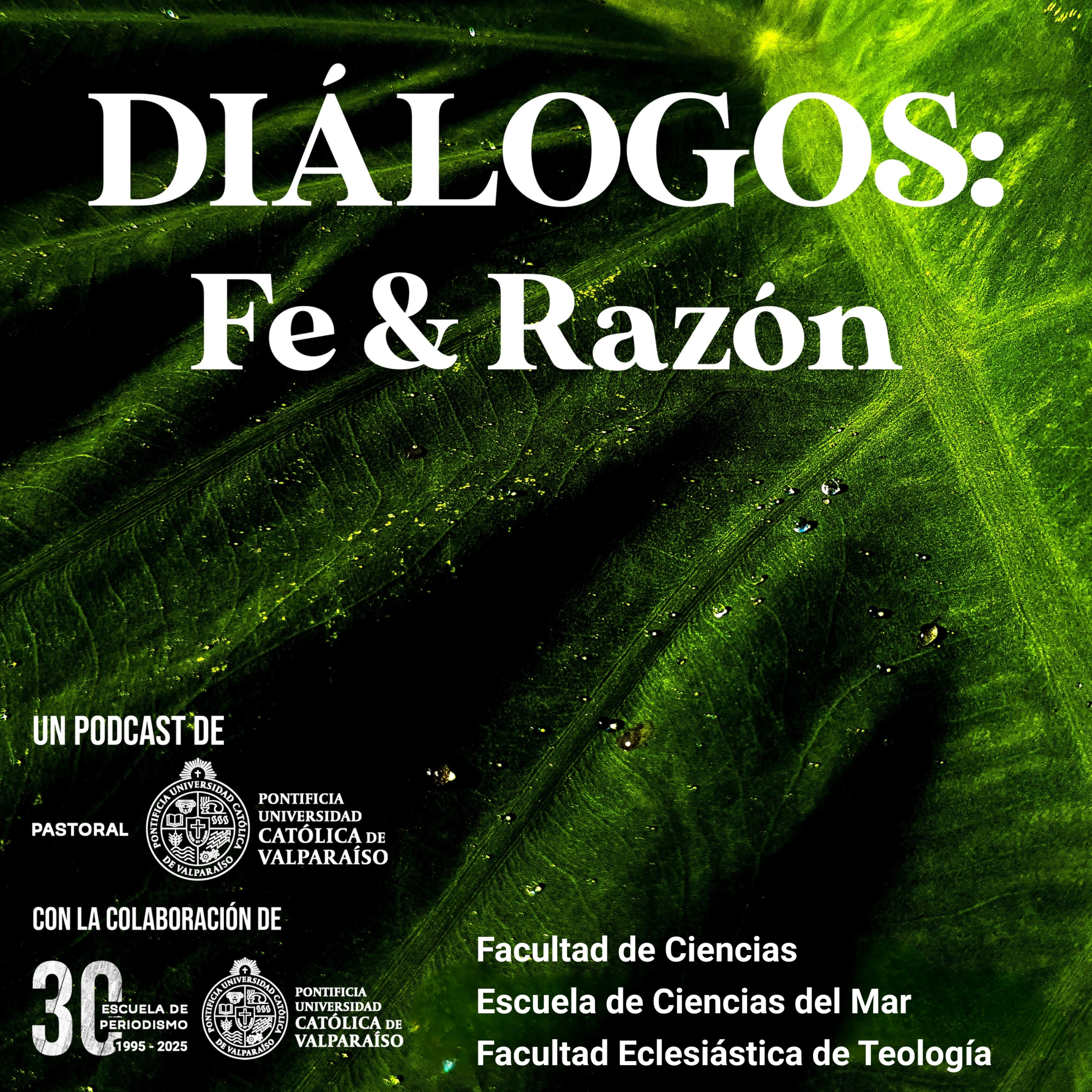 Una ecología integral. Capítulo IV - Laudato Si´