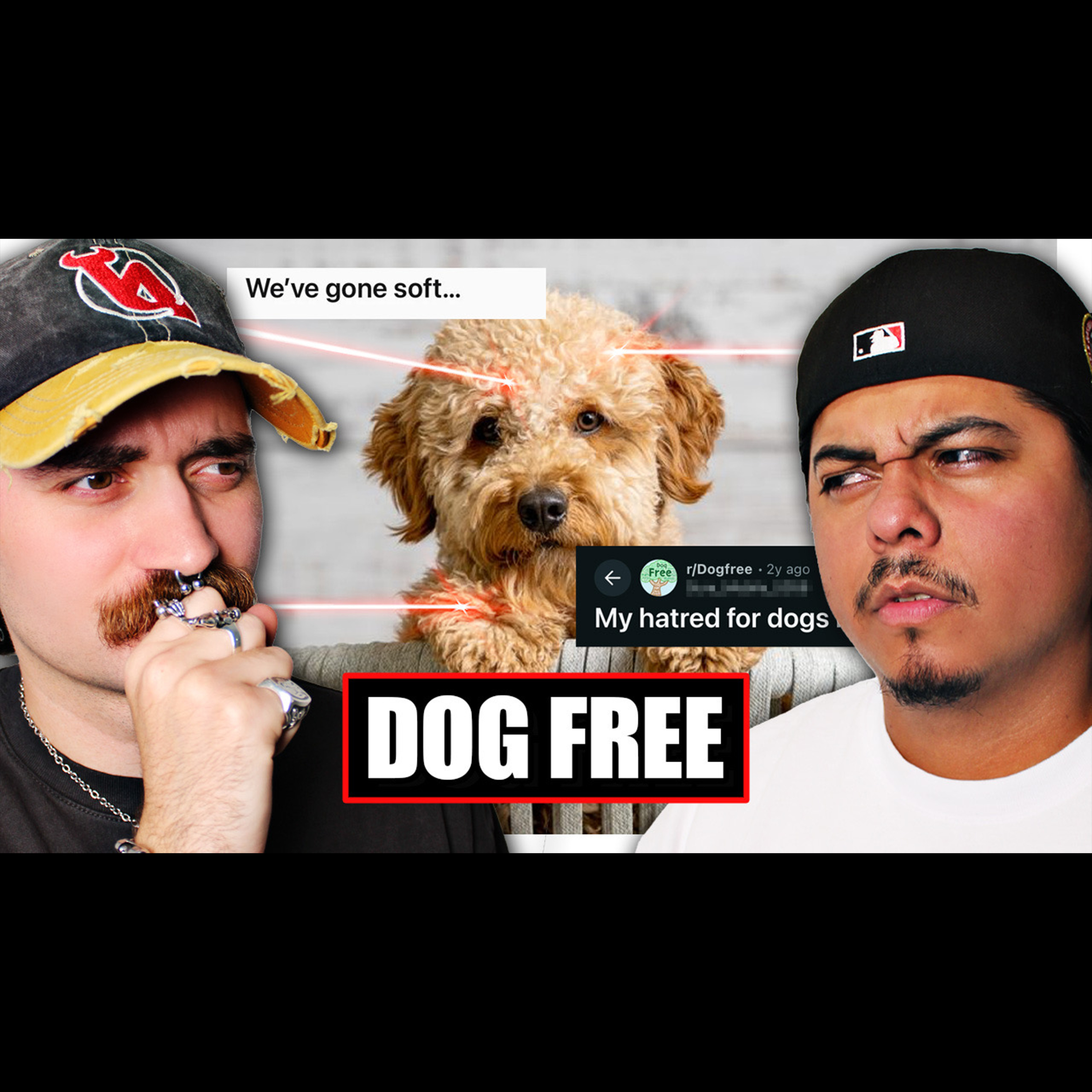 Episode 12: r/DogFree Needs To Be Stopped episode artwork
