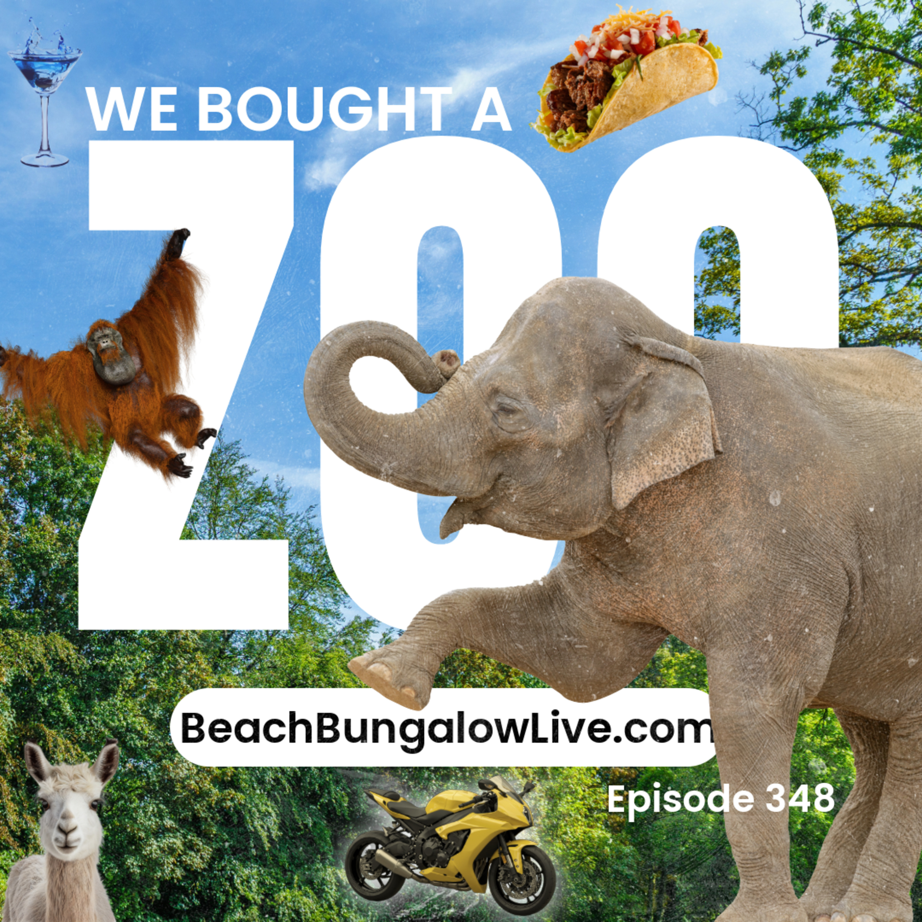 348: We Bought a Zoo episode artwork