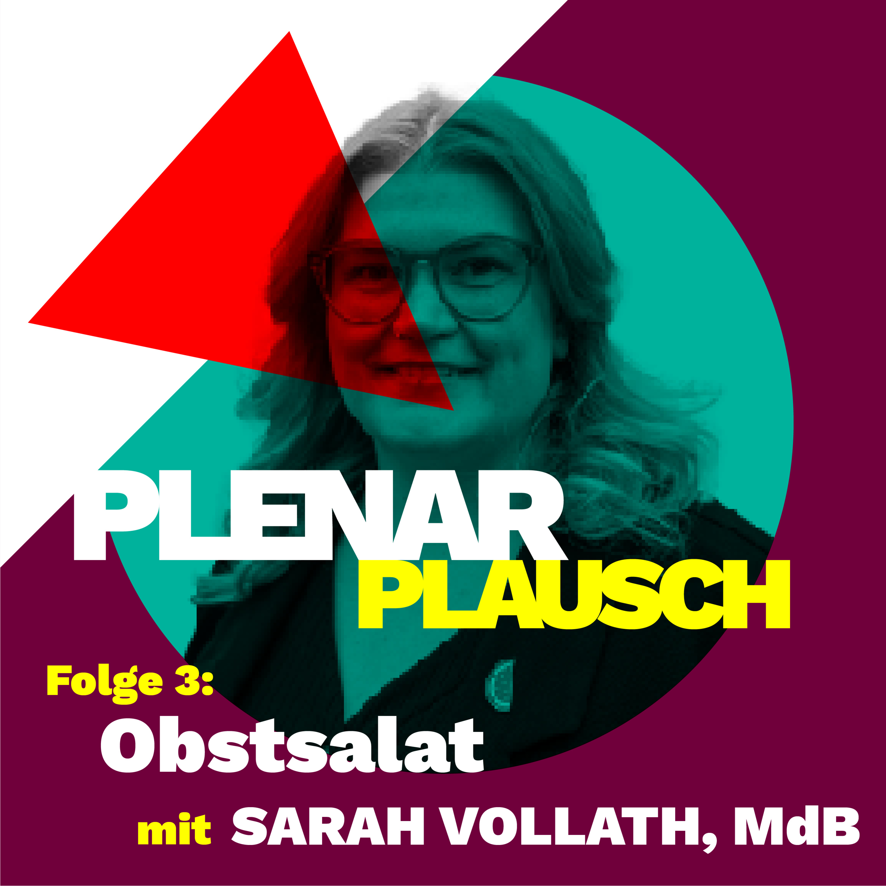 Plenarplausch