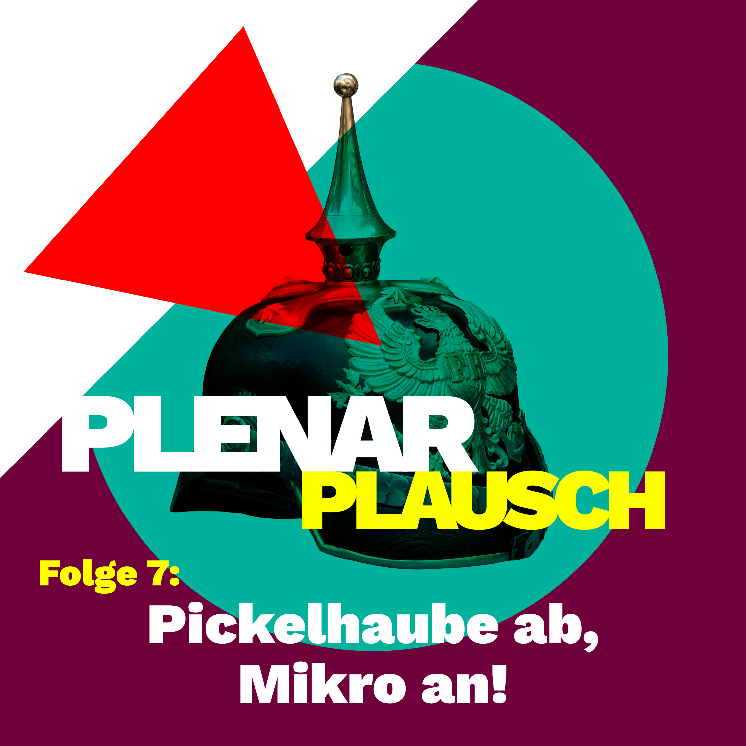 Plenarplausch