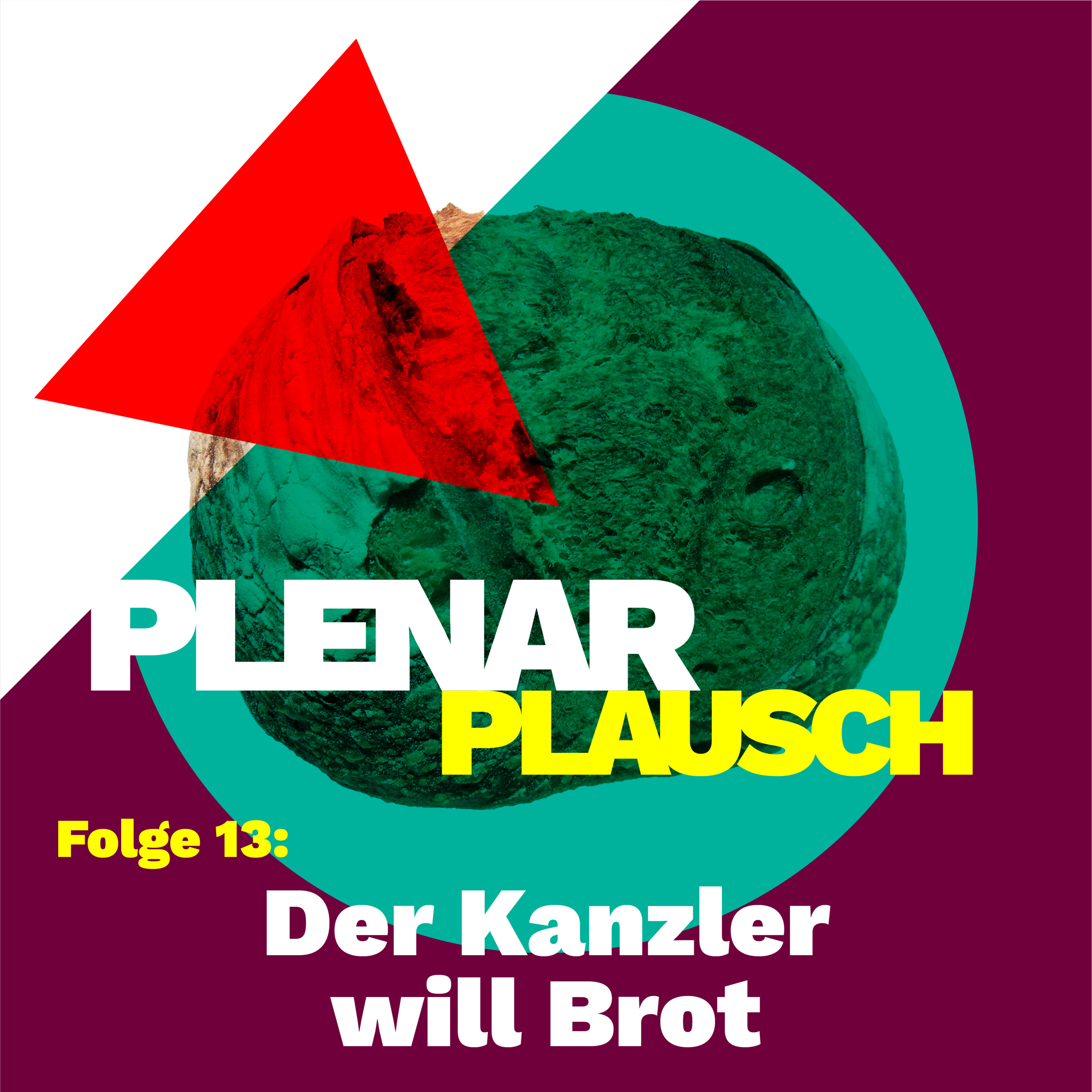 Plenarplausch