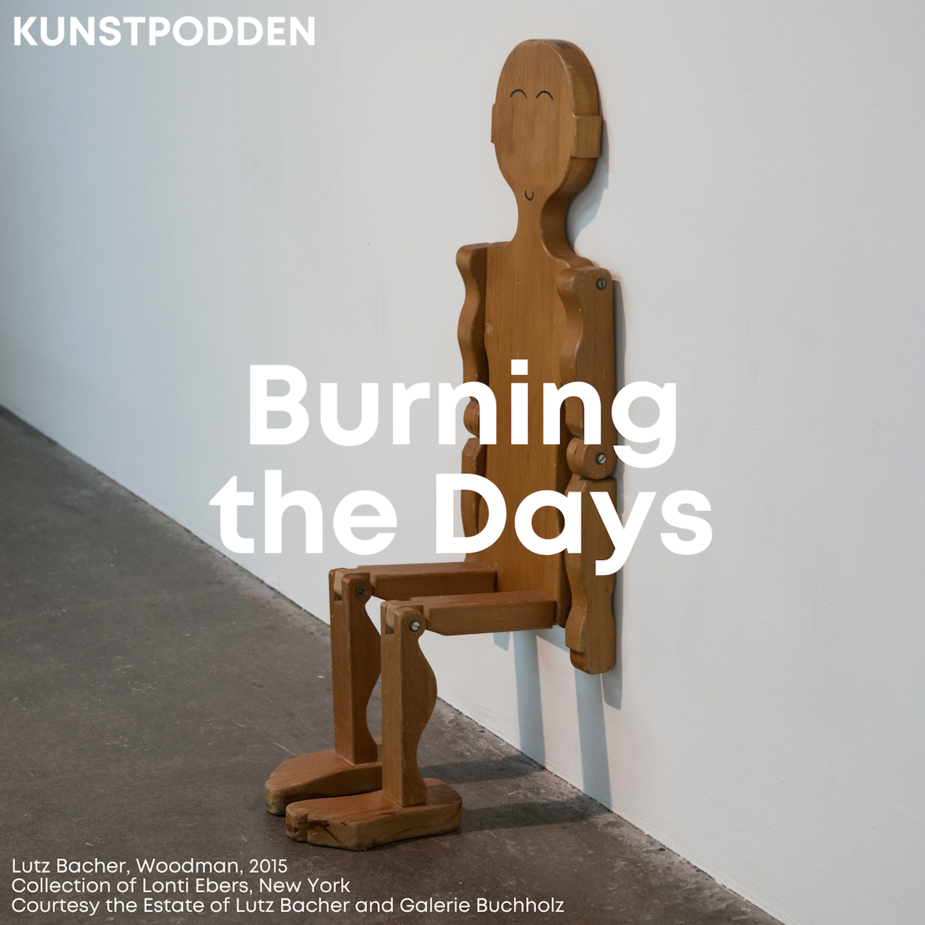 Lutz Bacher - Burning the Days
