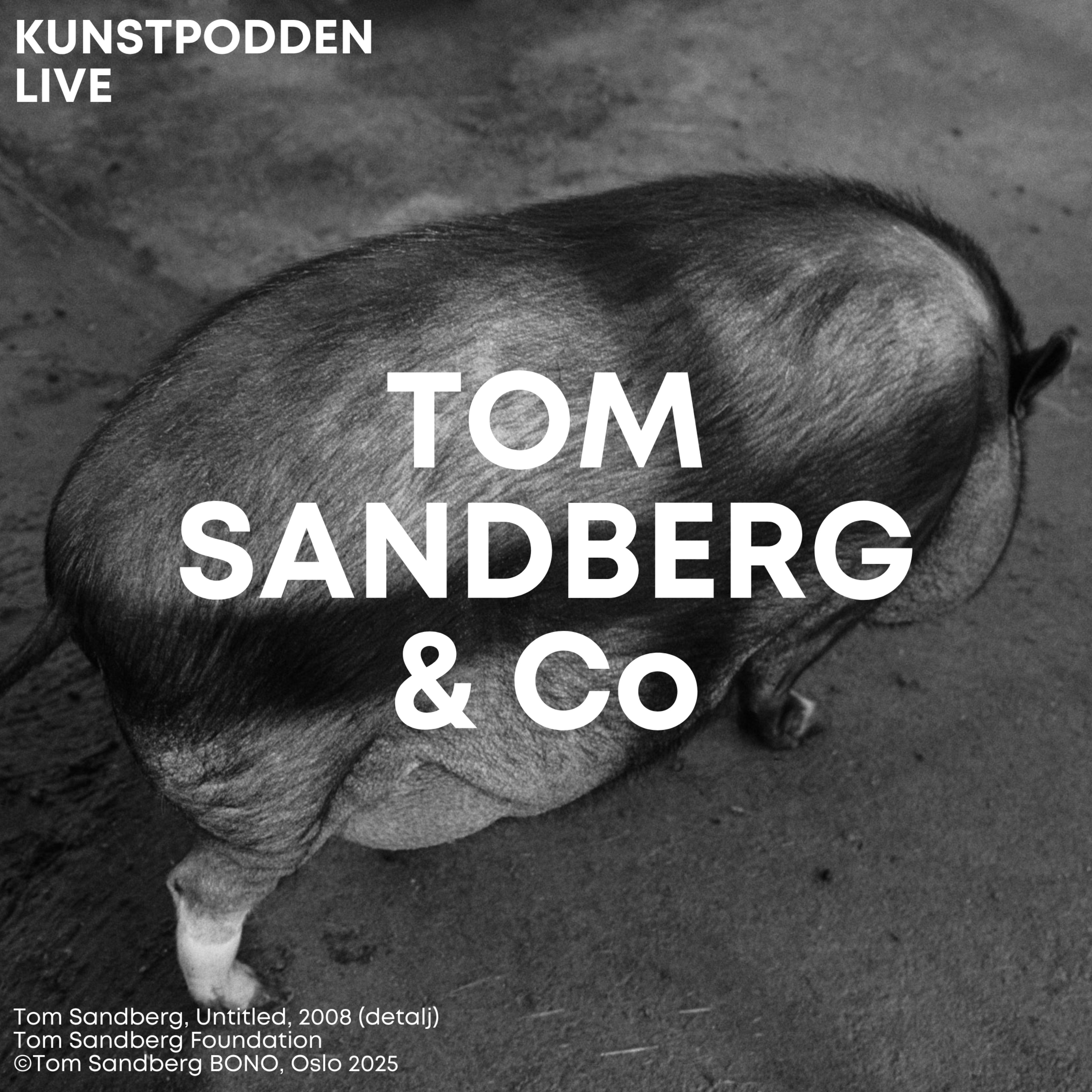 Tom Sandberg & Co.