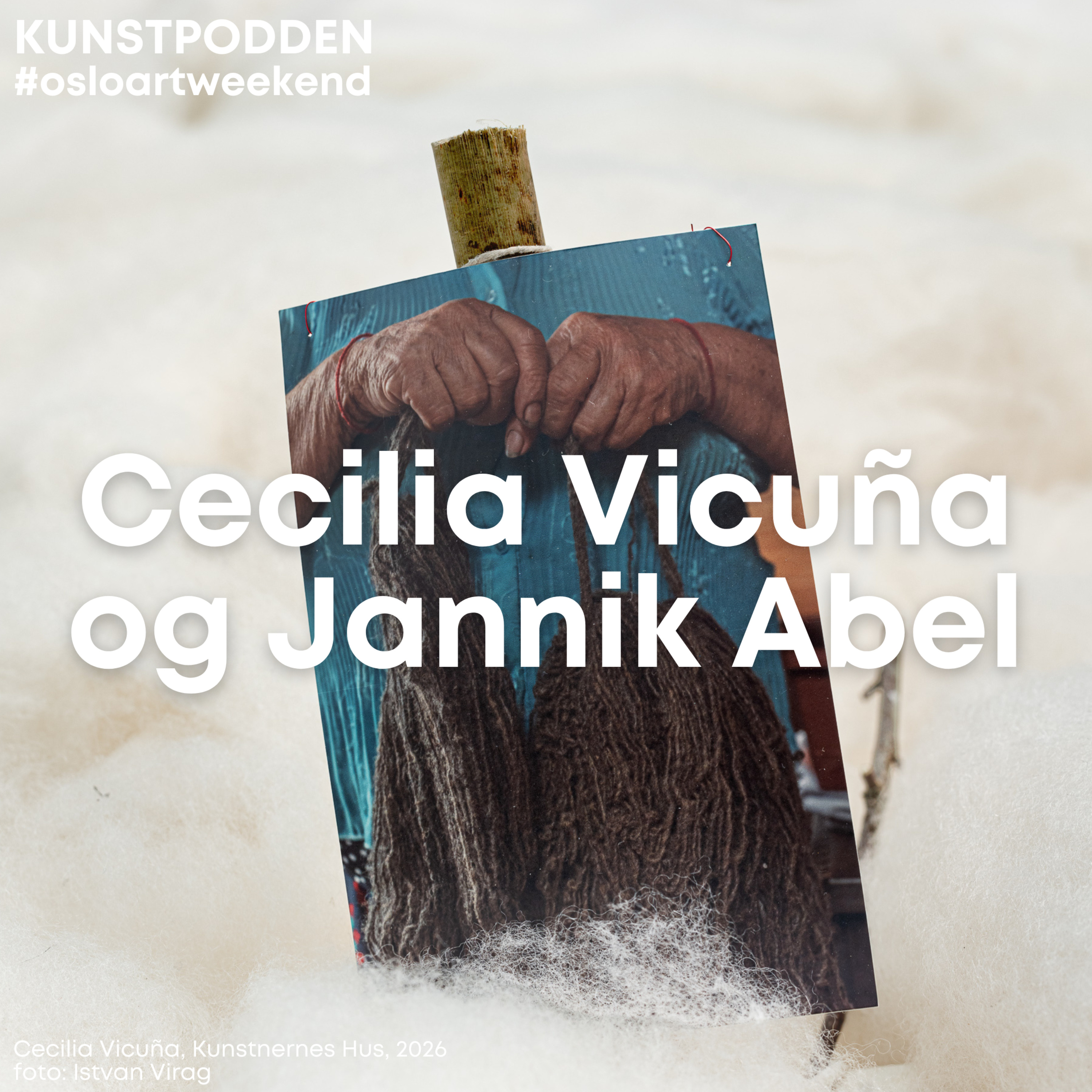 Cecilia Vicuña & Jannik Abel episode artwork