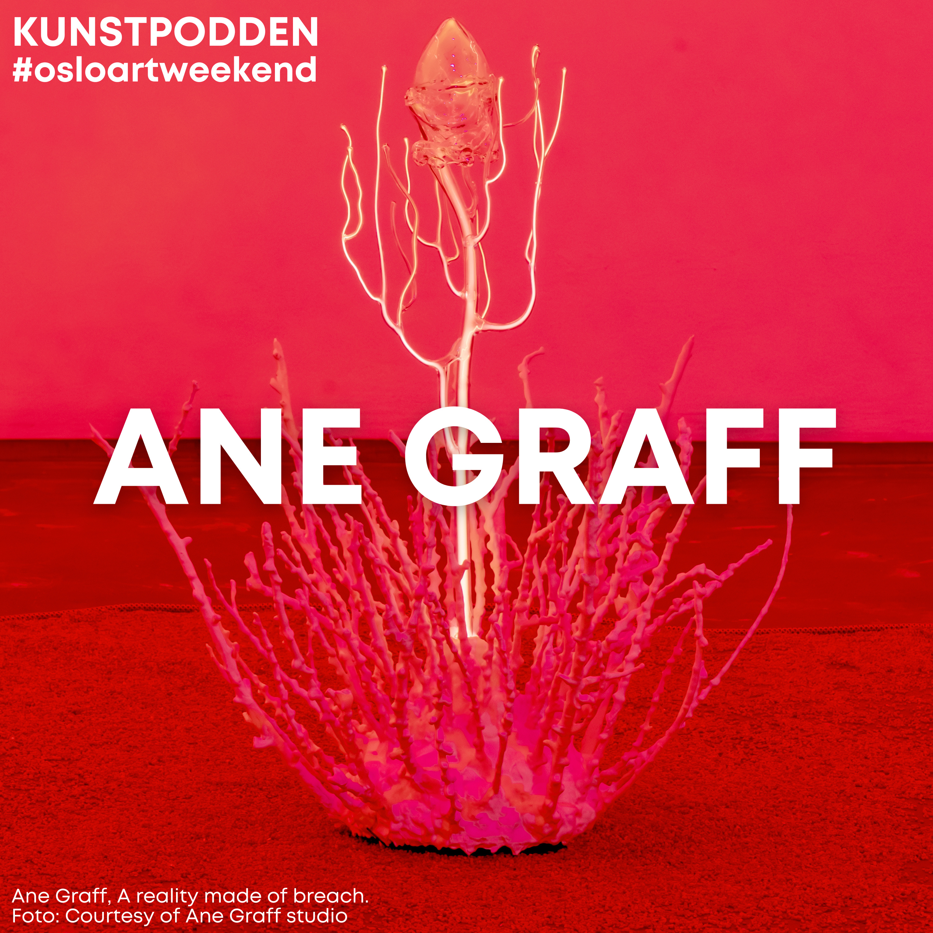 Ane Graff  episode artwork