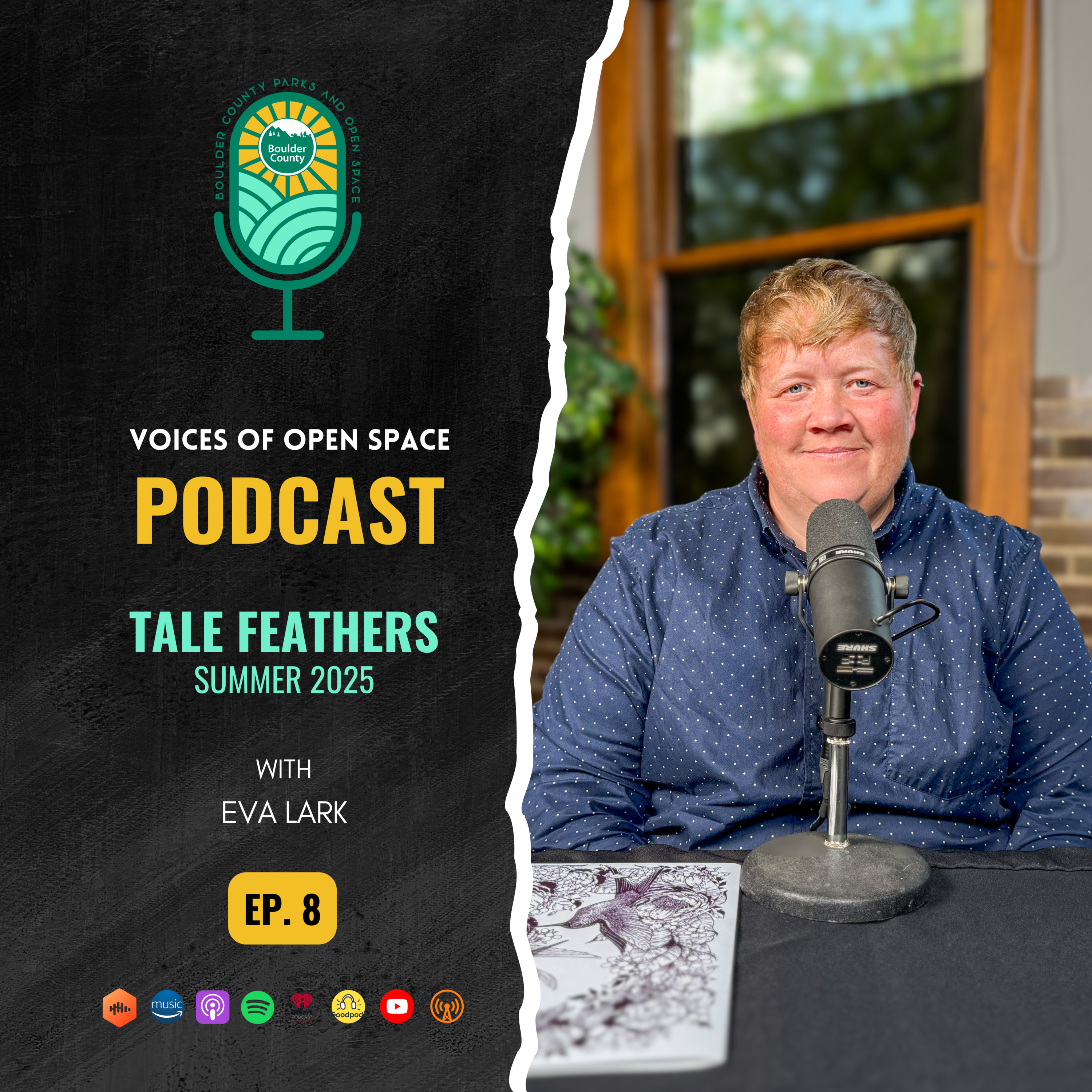 Voices of Open Space