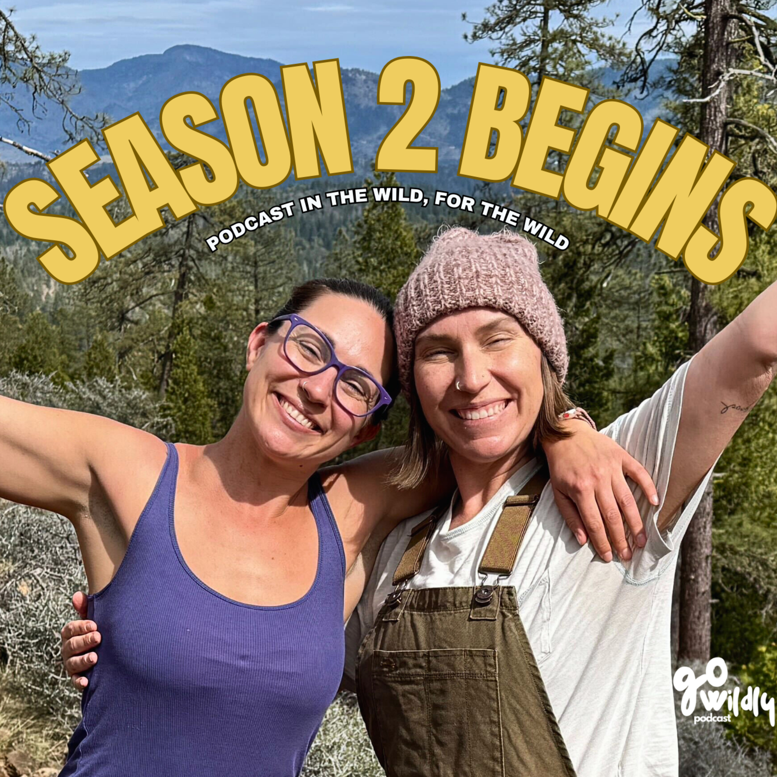 Season 2 Begins: Reflections, the Off-Season, and What’s Ahead | Go Wildly Podcast episode artwork