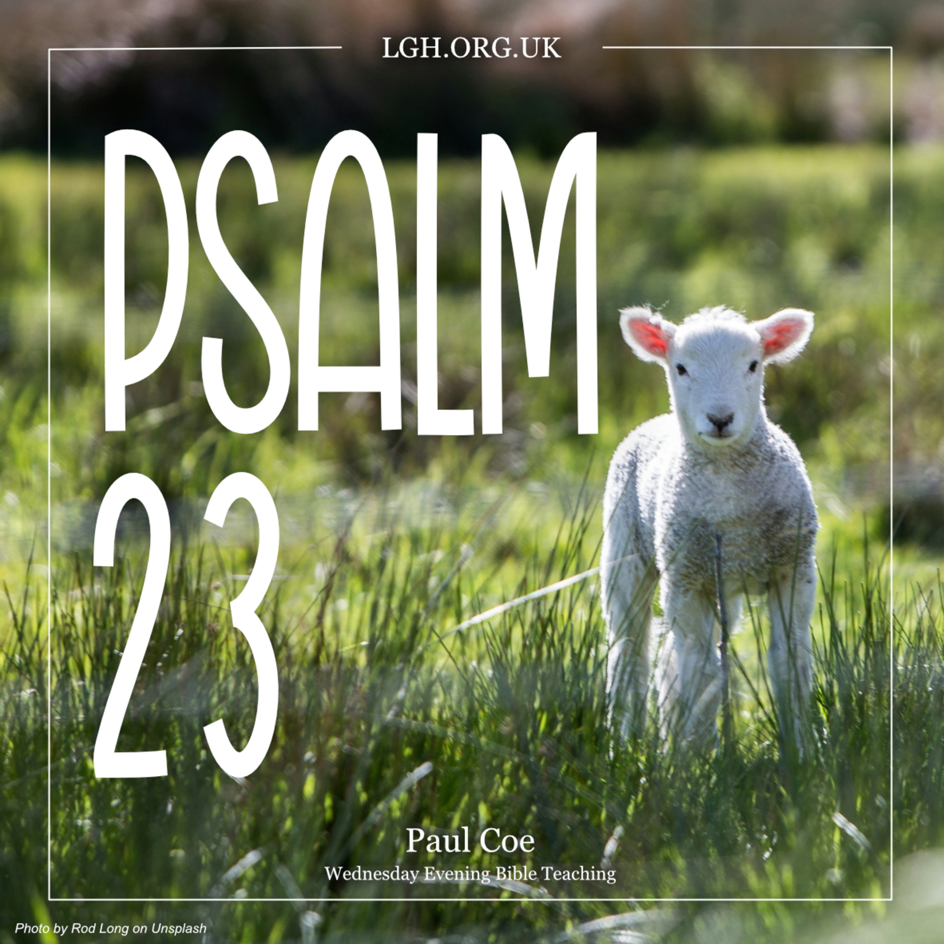 David in Psalm 23 - Paul Coe episode artwork