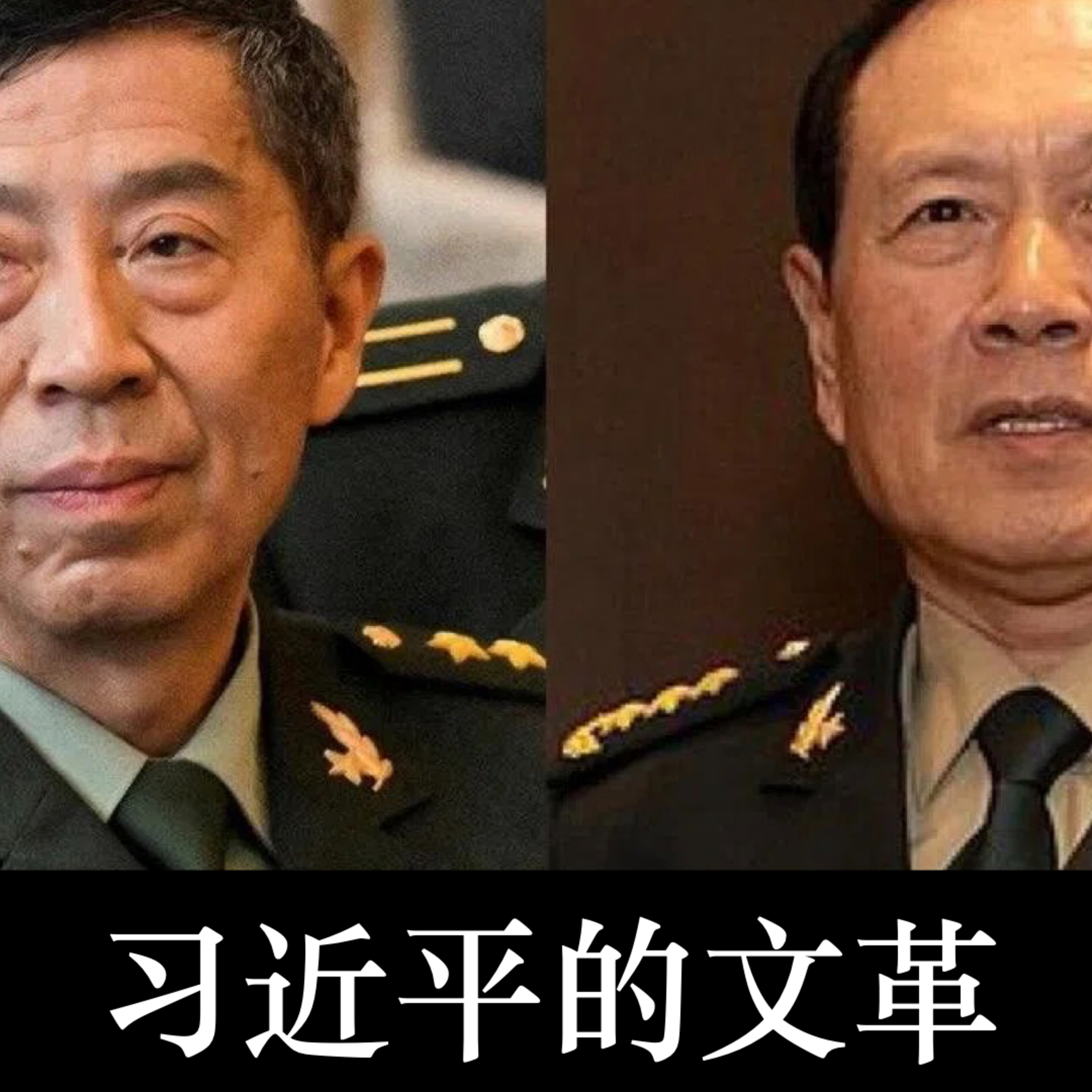 先提拔再死缓，我们离毛式文革还有多远？ episode artwork