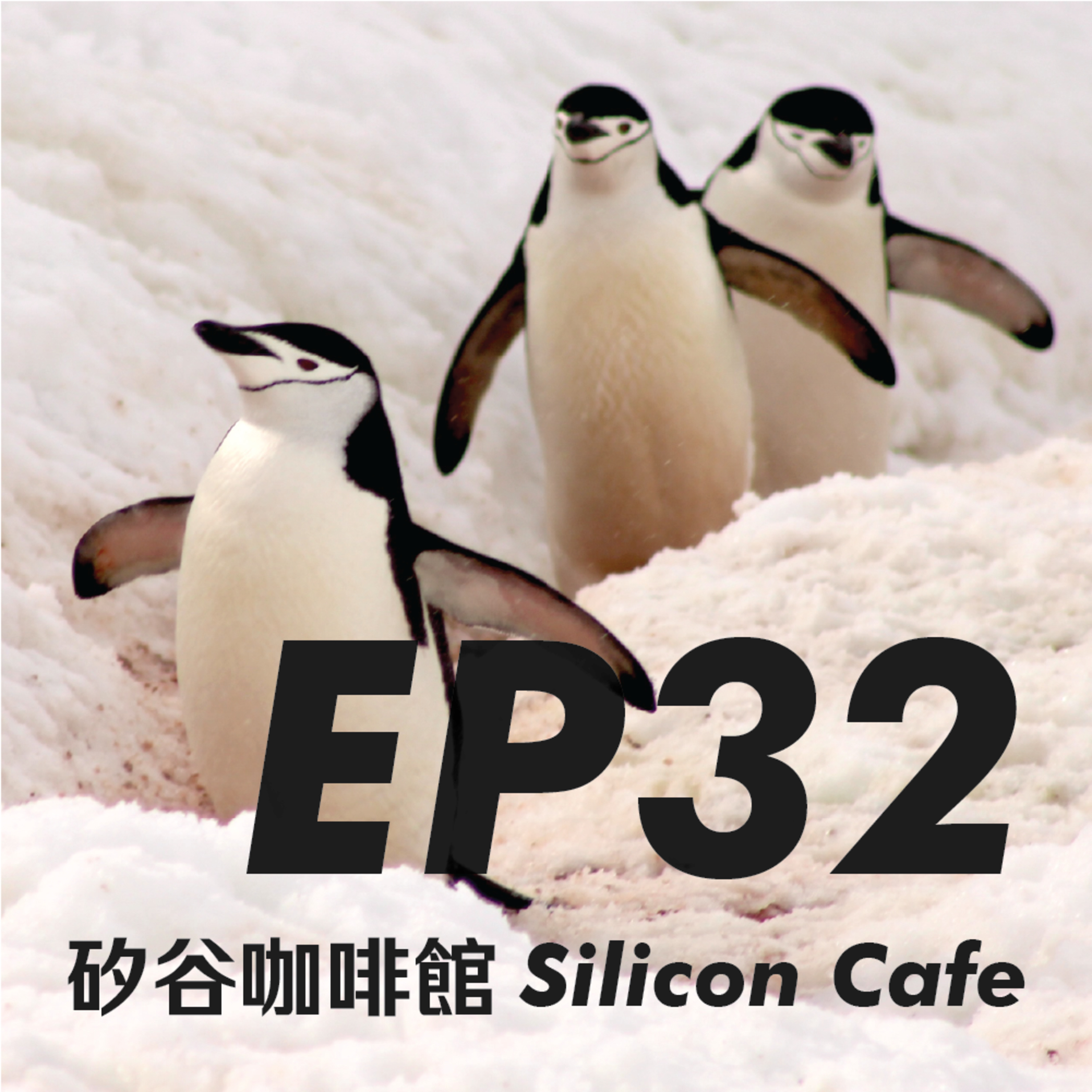 EP32 | 熊的19天南極旅行 - 企鵝高速公路、暈船福克蘭海峽，與那些比冰山更難忘的旅伴 episode artwork