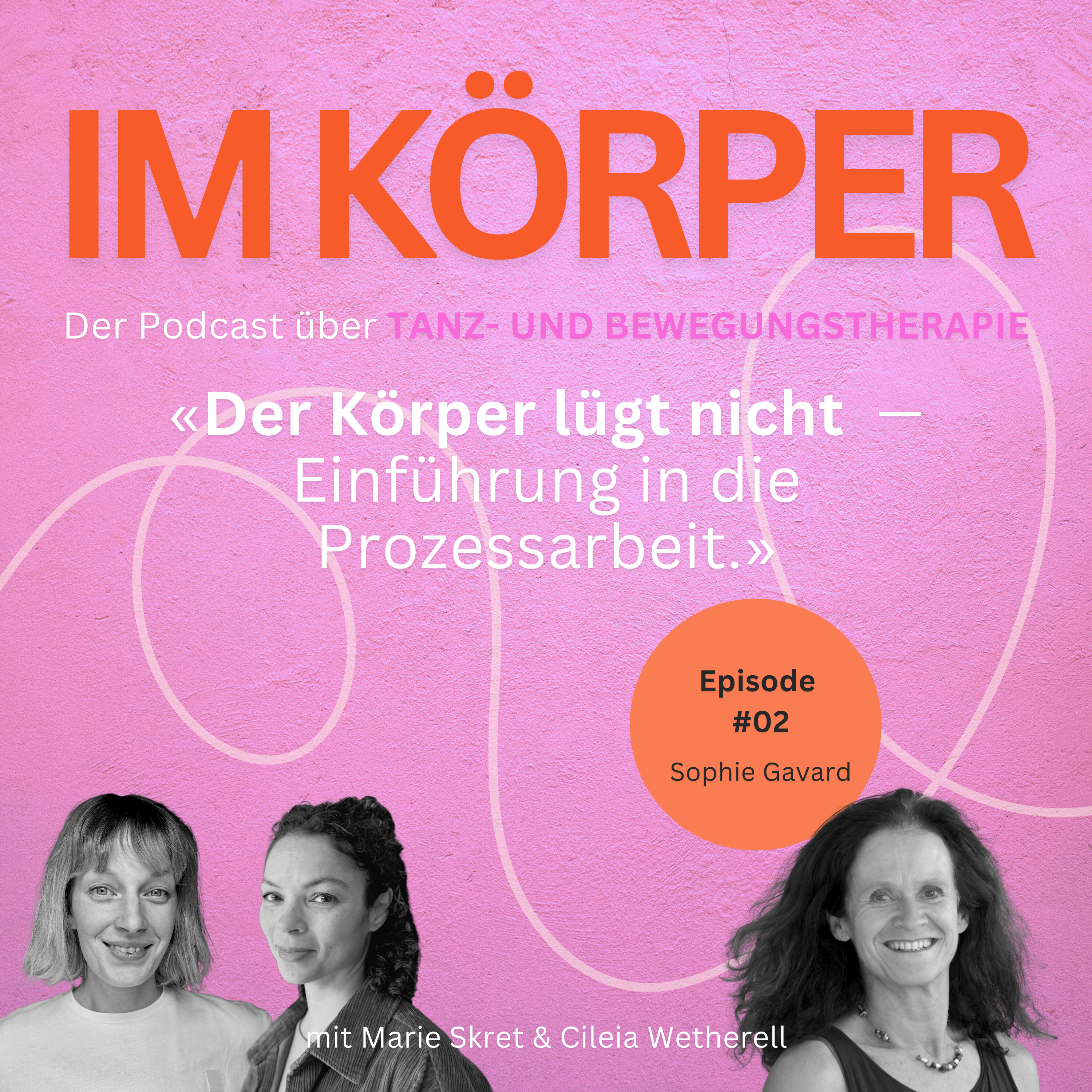 S01 E02: Der Körper lügt nicht — Einführung in die Prozessarbeit — mit Sophie Gavard episode artwork