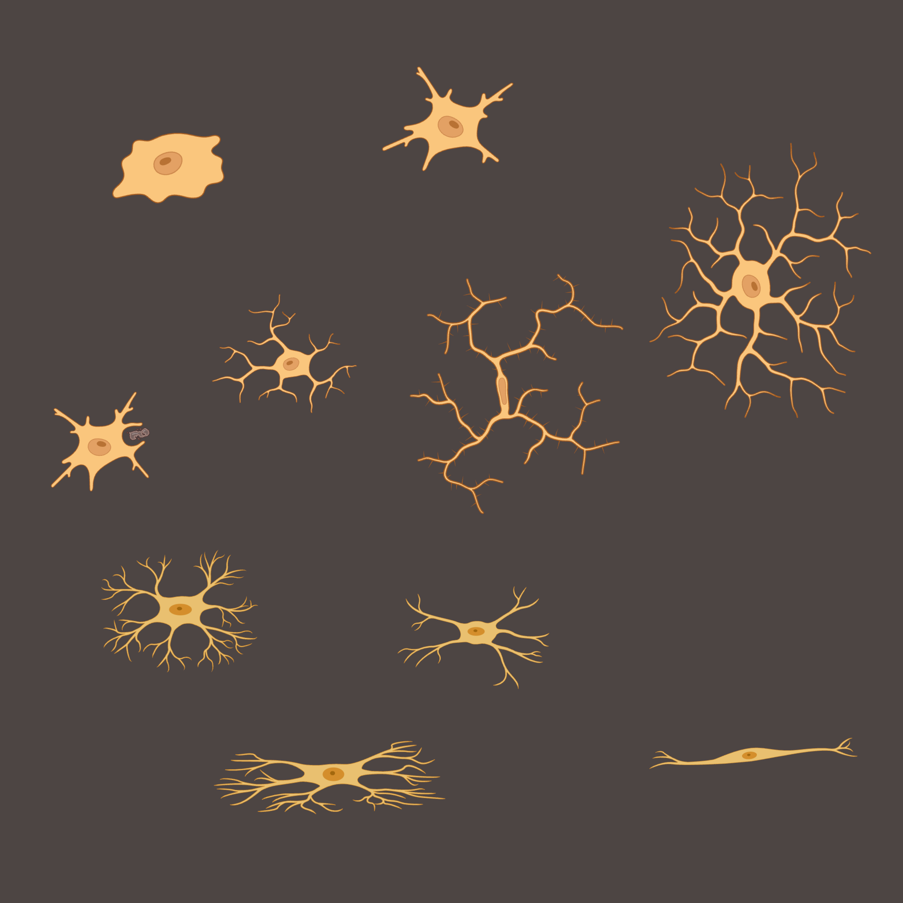 The secrets of alzheimer\'s disease