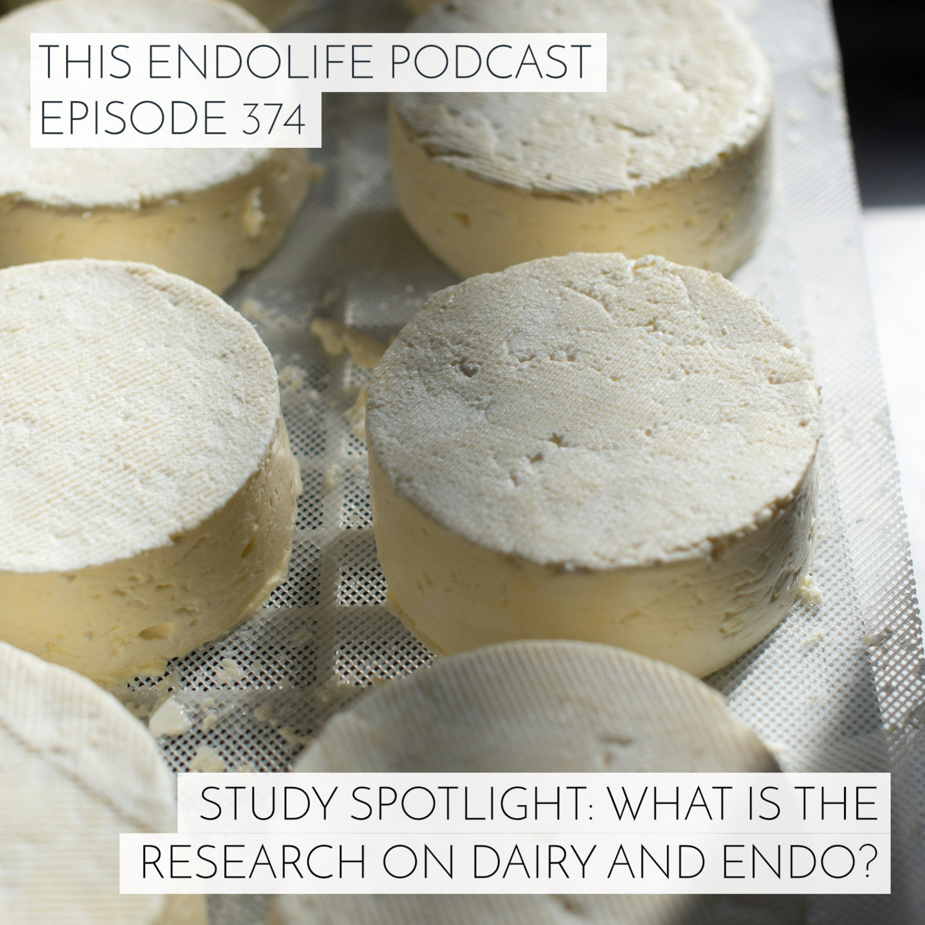 Study Spotlight: What Is the Research on Dairy and Endometriosis?